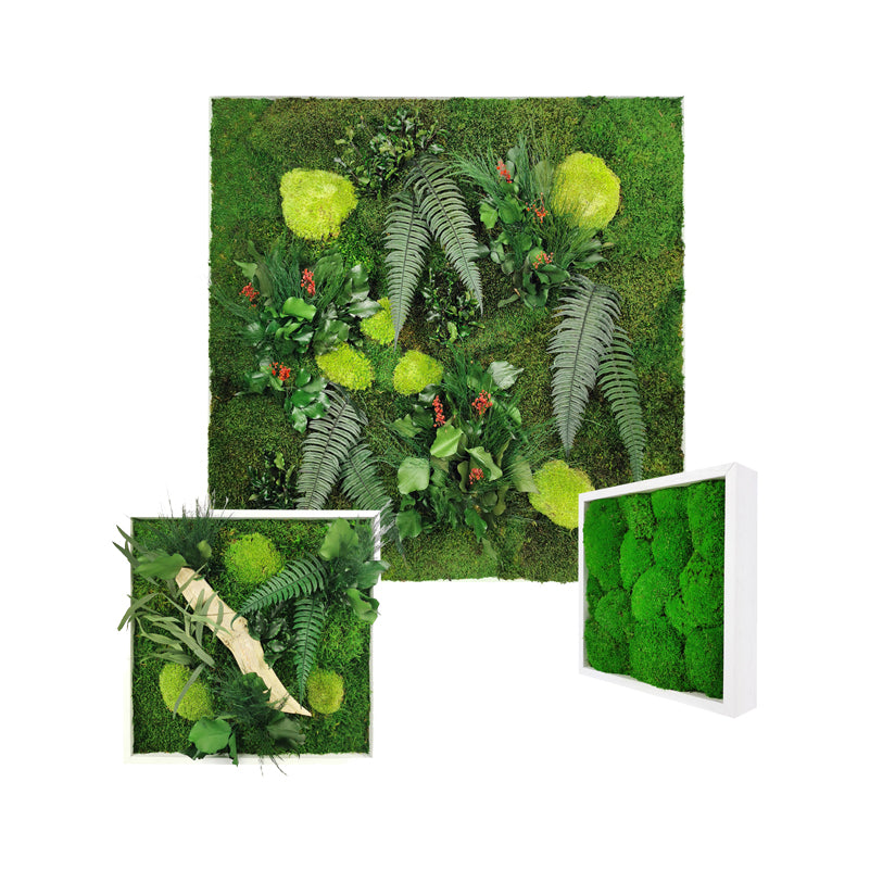 tableaux vegetaux stabilises