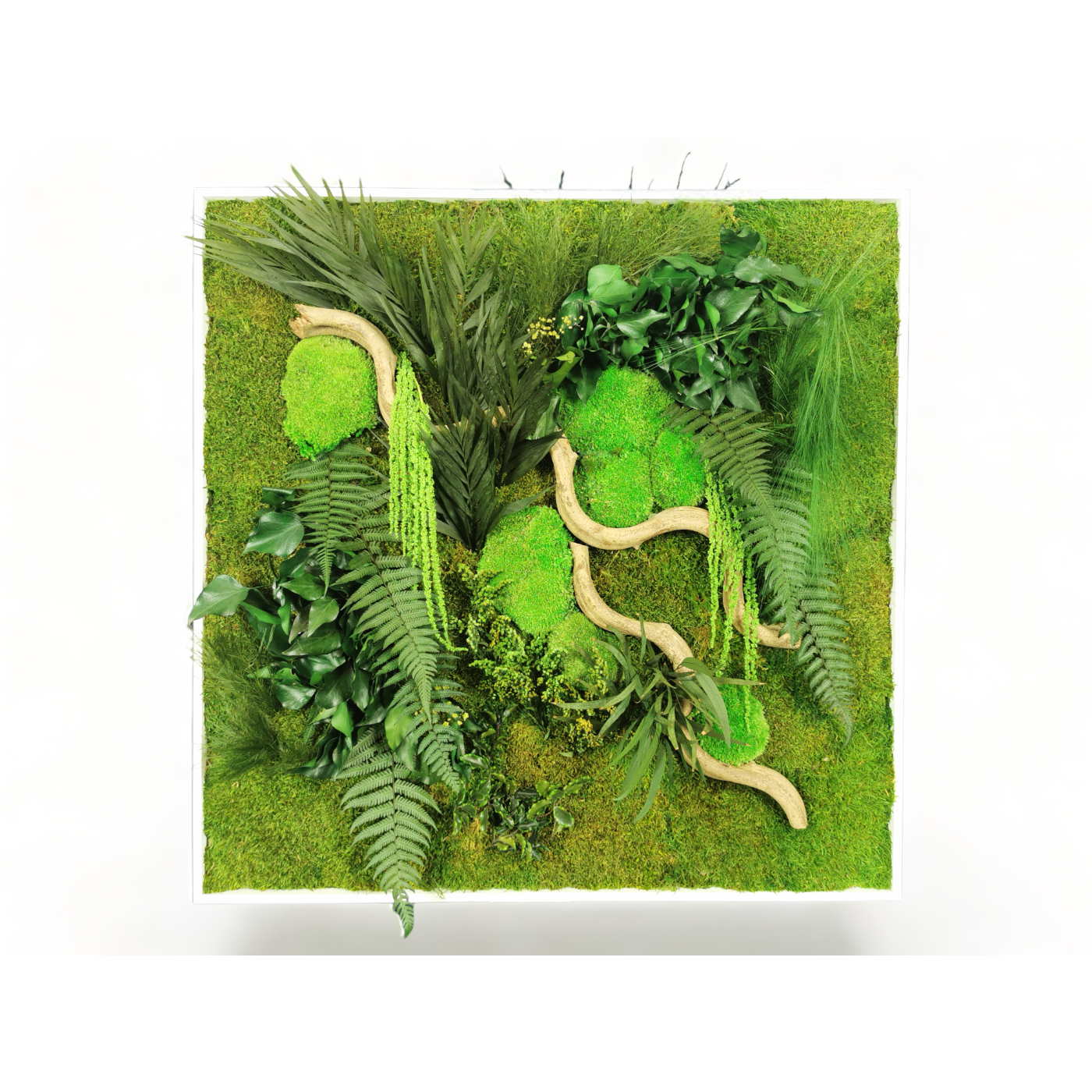 Dschungelkonserviertes Naturpflanzengemälde 80x80