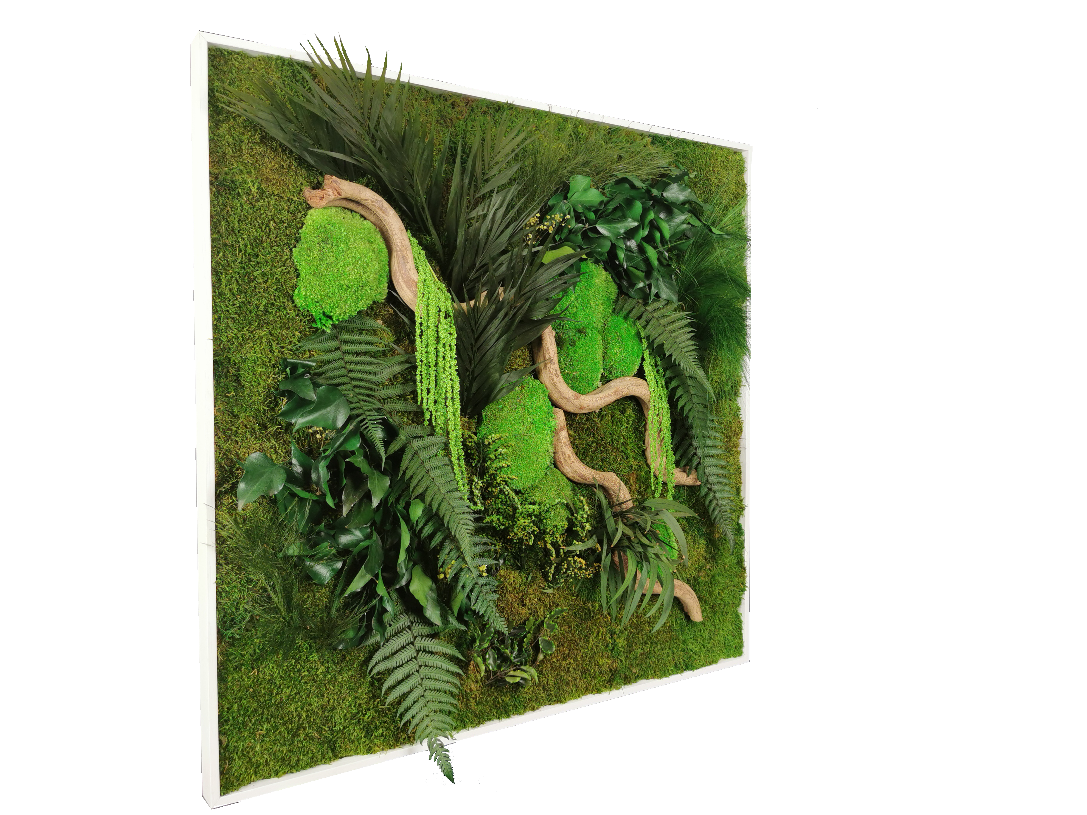 Dschungelkonserviertes Naturpflanzengemälde 80x80