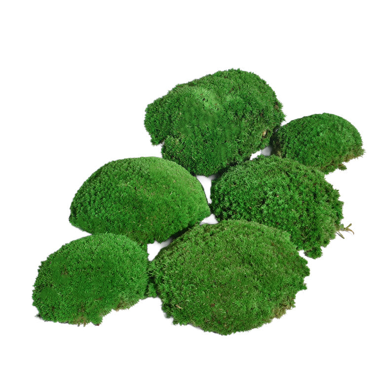 Mousse boule stabilisée