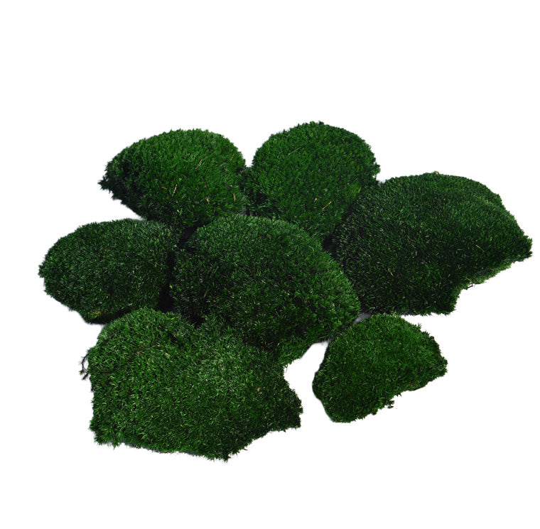 Mousse boule stabilisée