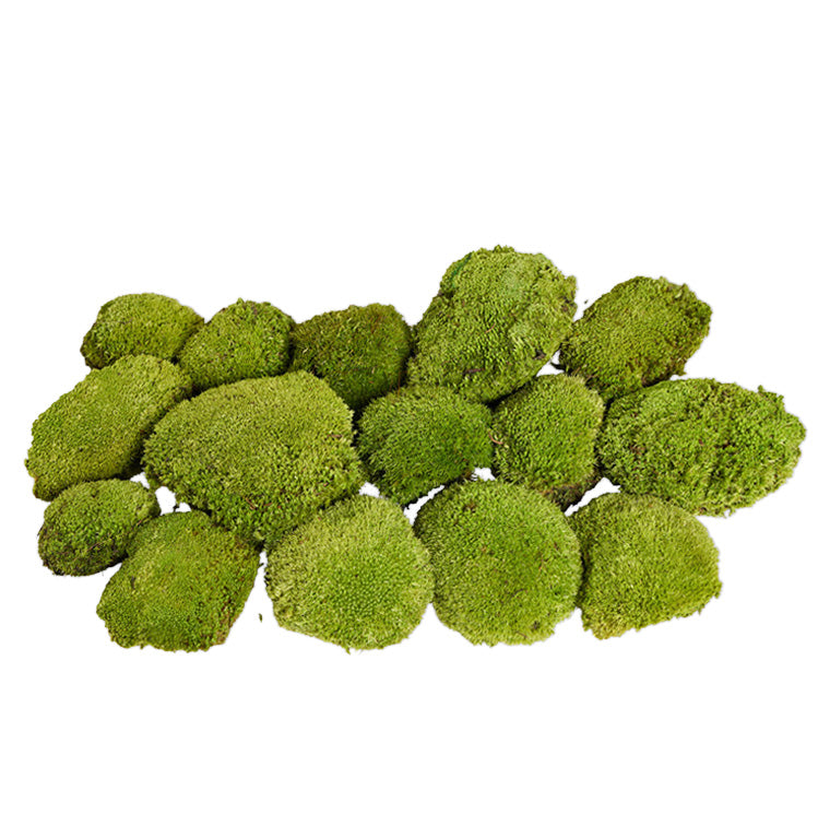 Mousse boule stabilisée