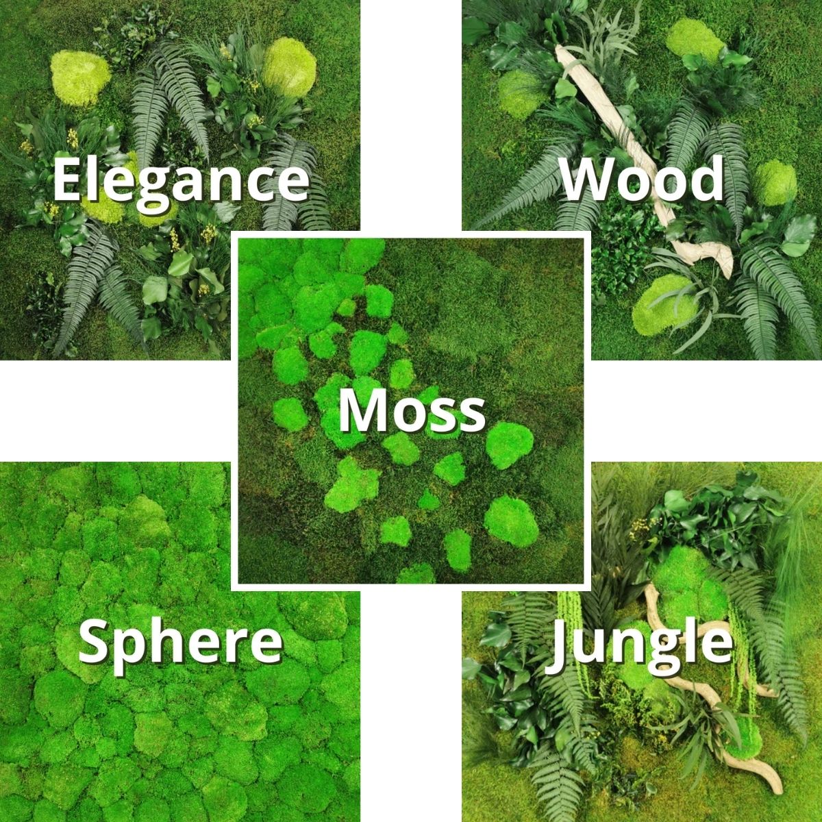 Tableau végétal sur mesure
