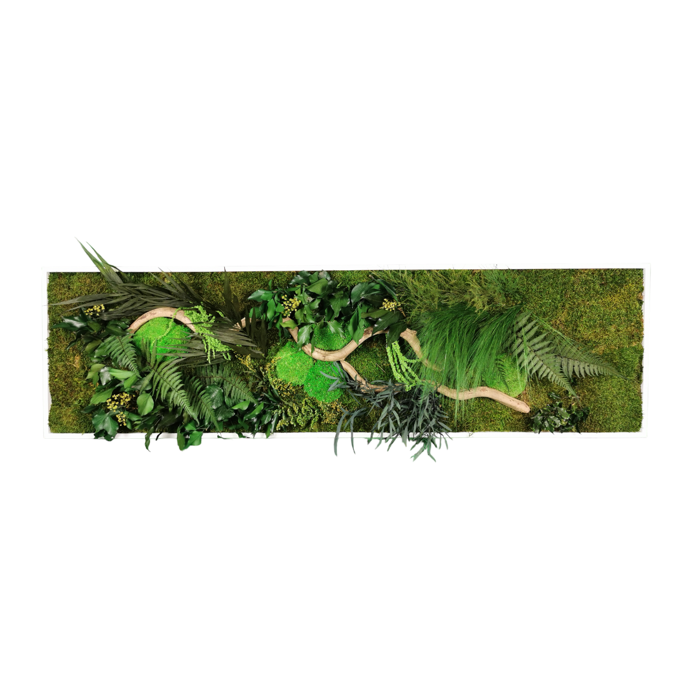 Dschungelkonserviertes Naturpflanzengemälde 140x40