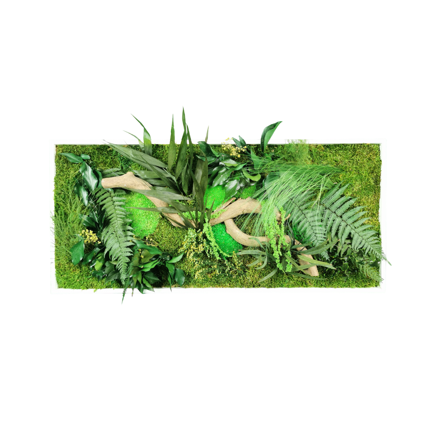 Dschungelkonserviertes Naturpflanzengemälde 34x74