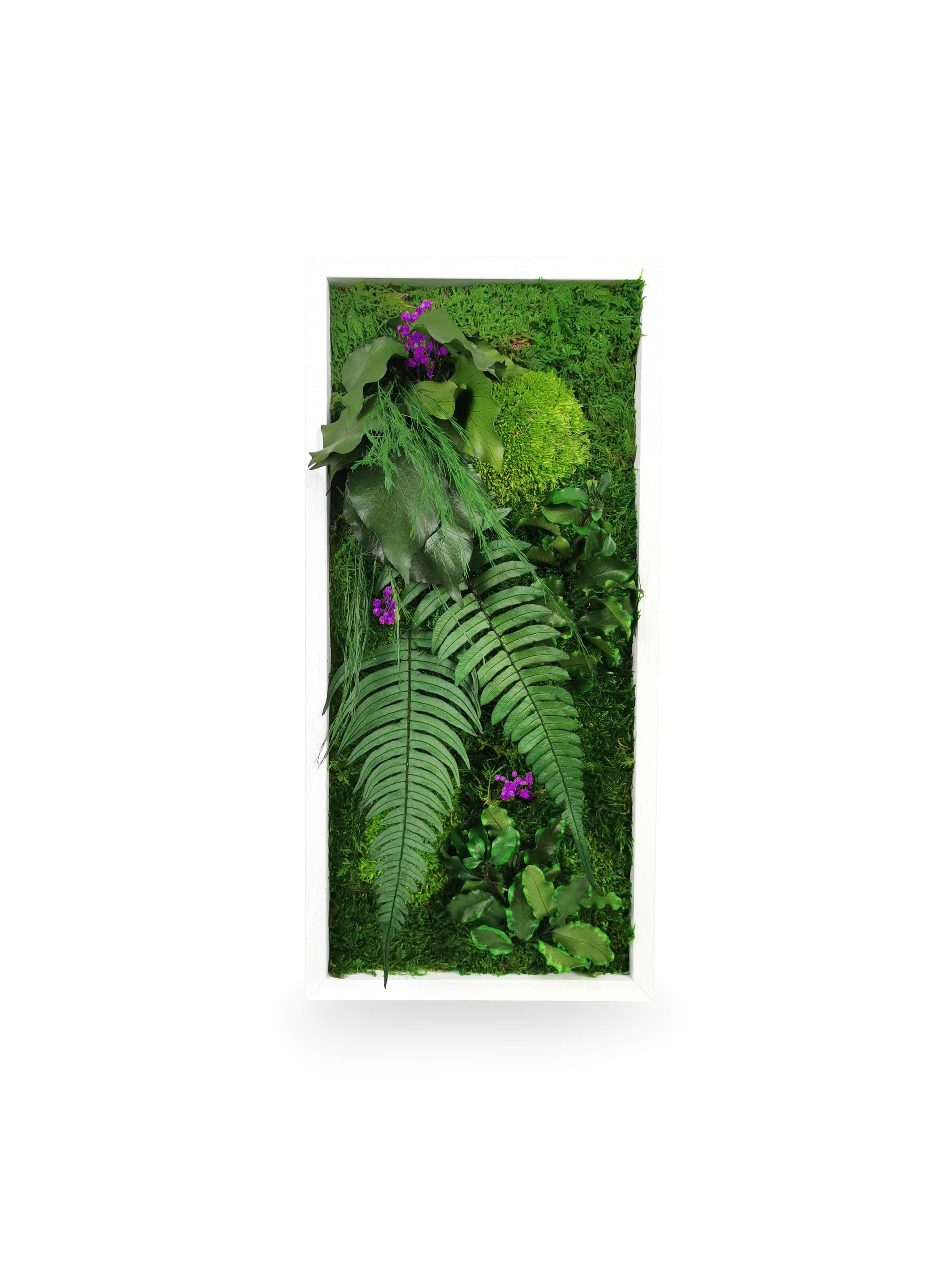 Tableau végétal naturel stabilisé Elegance 18x38