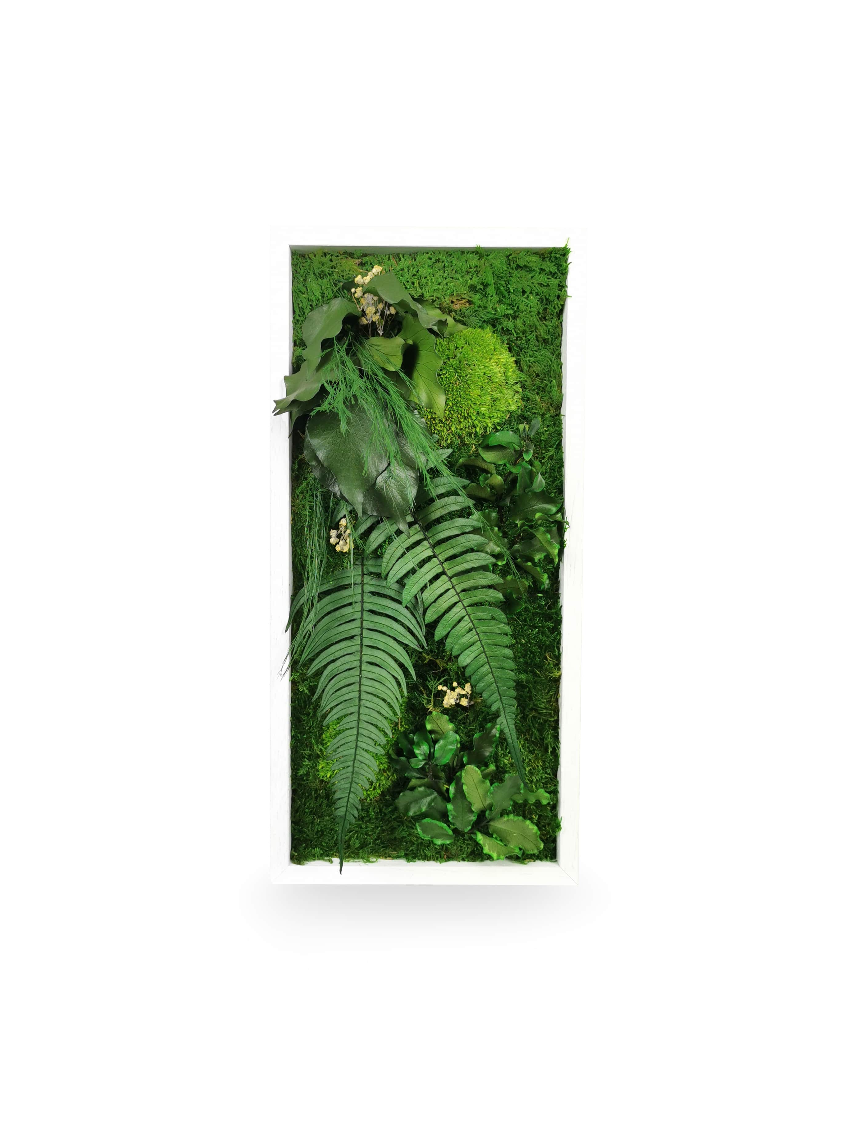 Tableau végétal naturel stabilisé Elegance 18x38