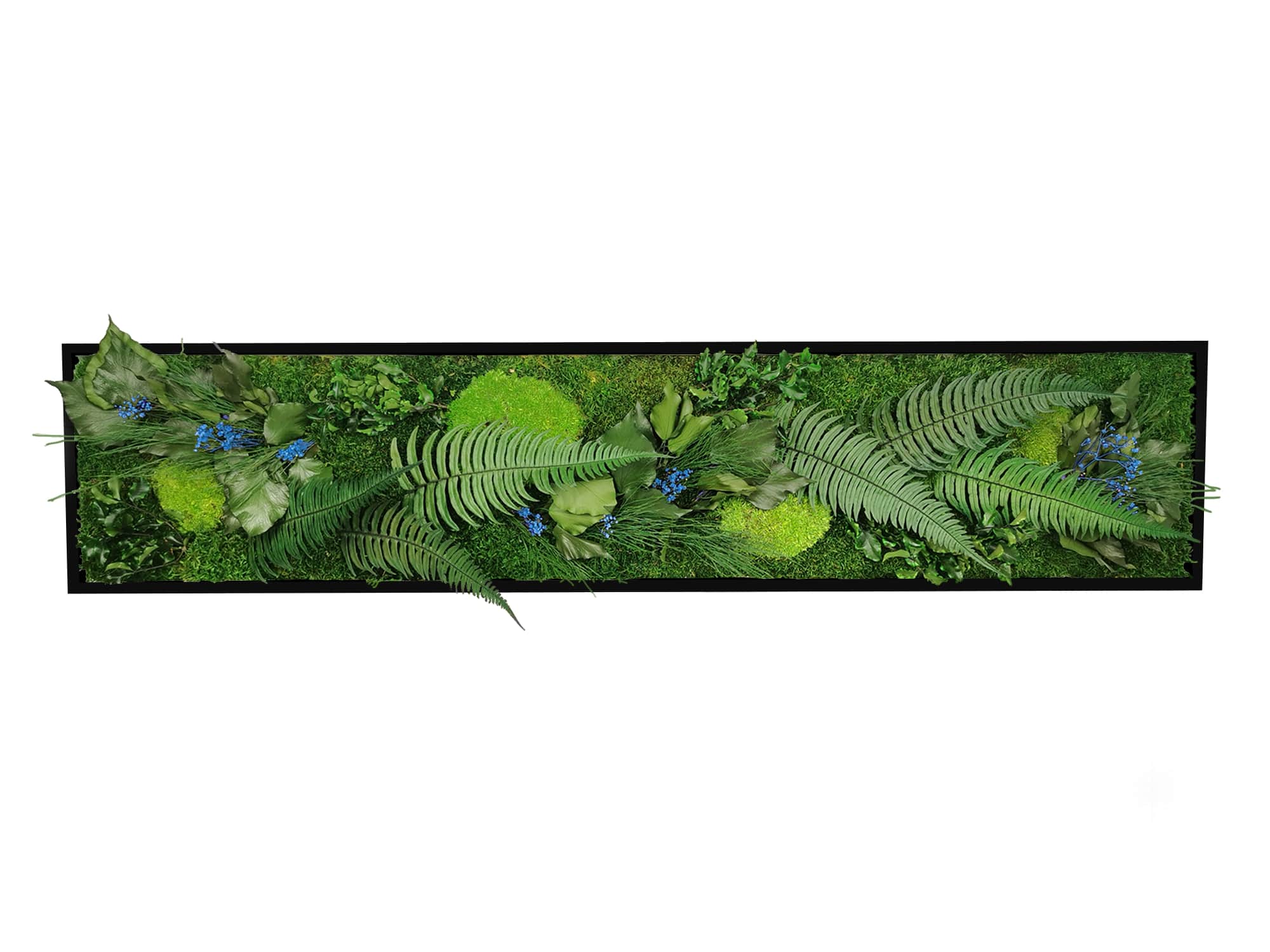 Tableau végétal naturel stabilisé Elegance 25x115