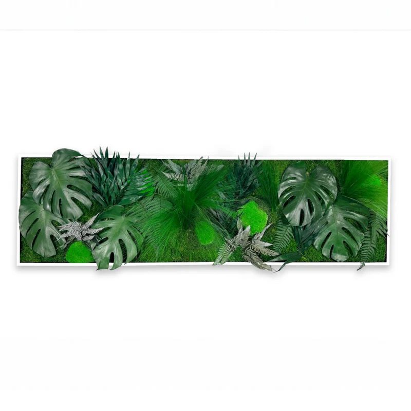 Tableau végétal naturel stabilisé Tropical 40x140