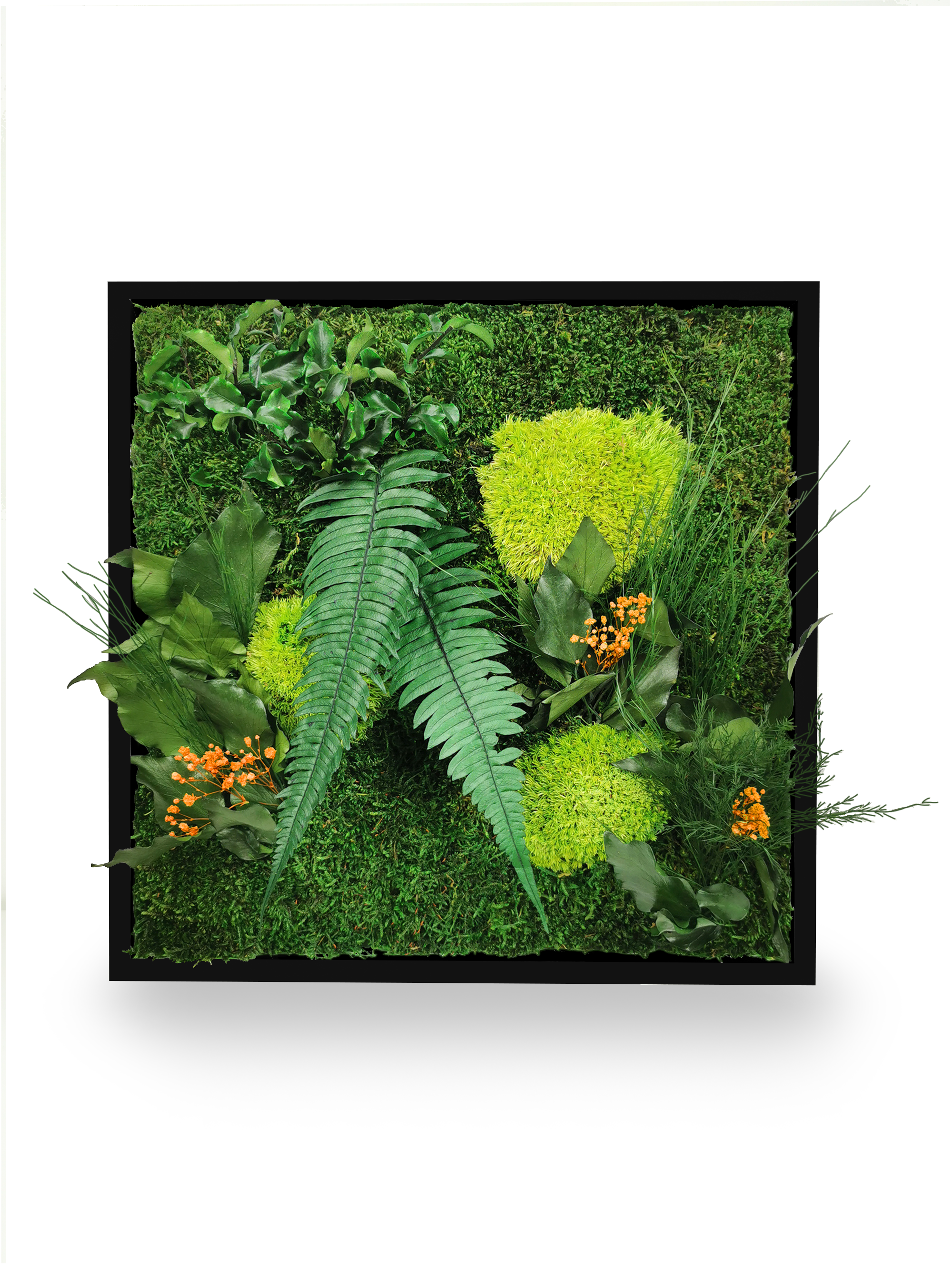 Tableau végétal naturel stabilisé Elegance 80x80