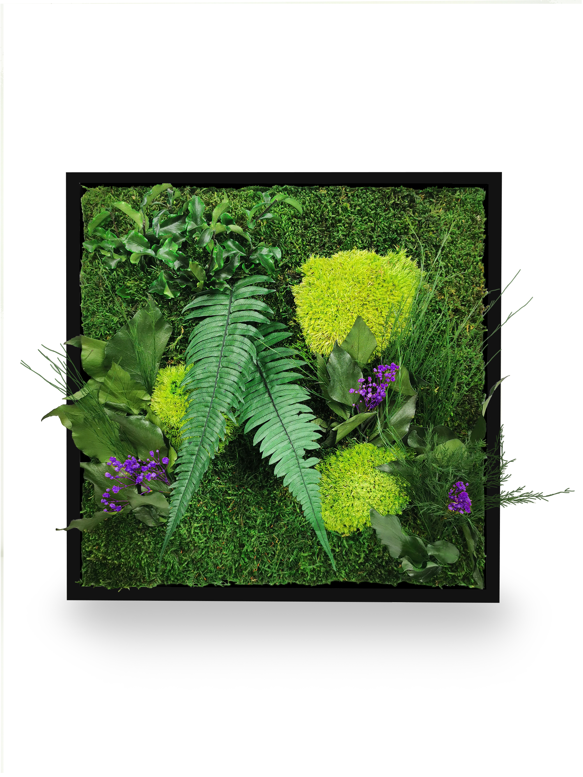 Tableau végétal naturel stabilisé Elegance 80x80