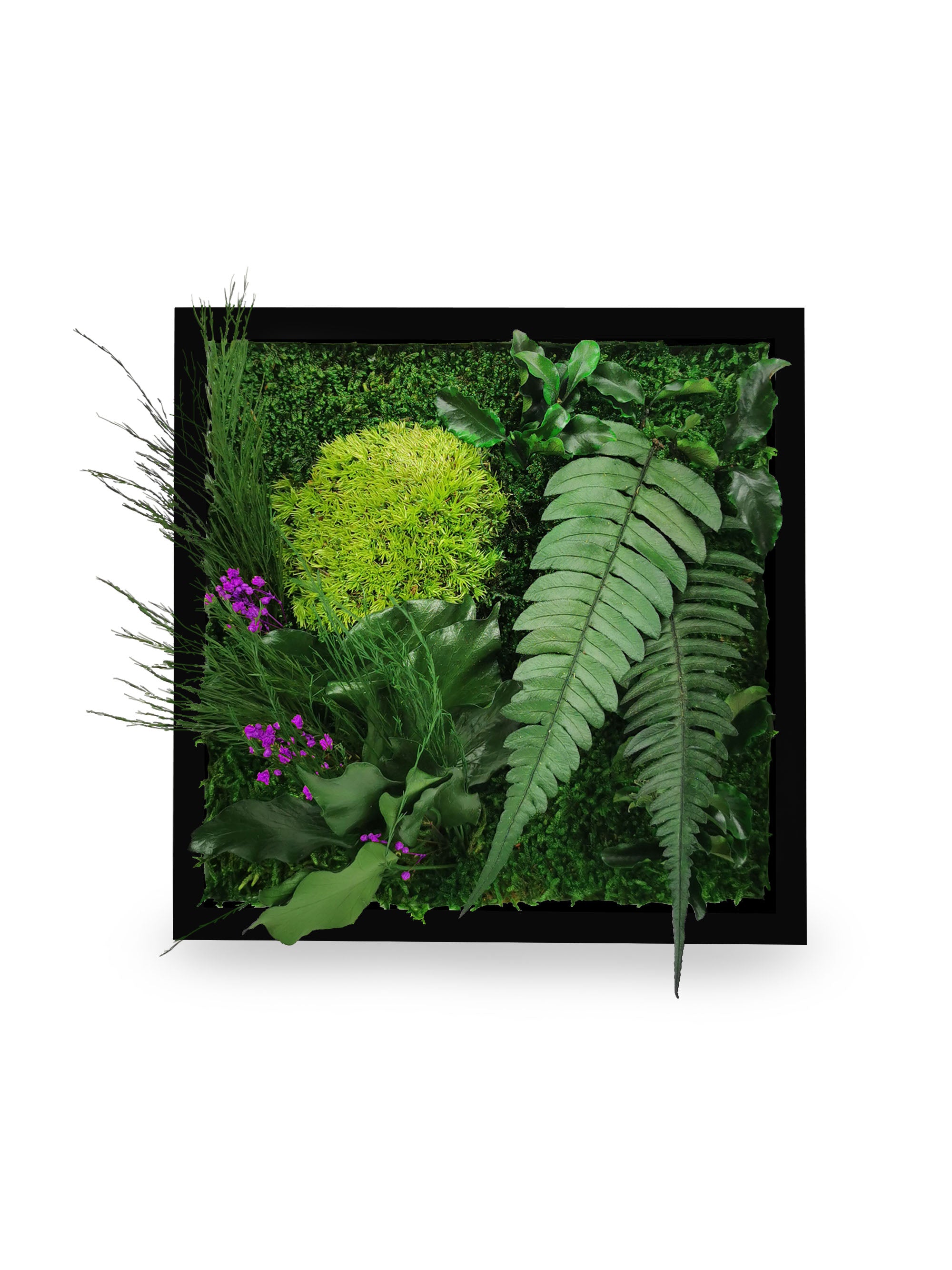 Stabilisiertes Naturpflanzengemälde Elegance 22x22