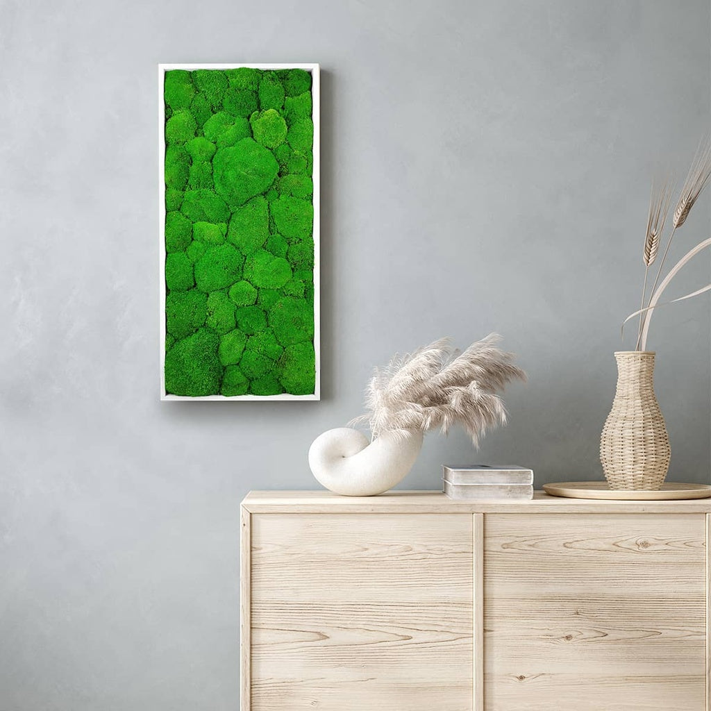 Tableau végétal naturel stabilisé Sphere 34x74