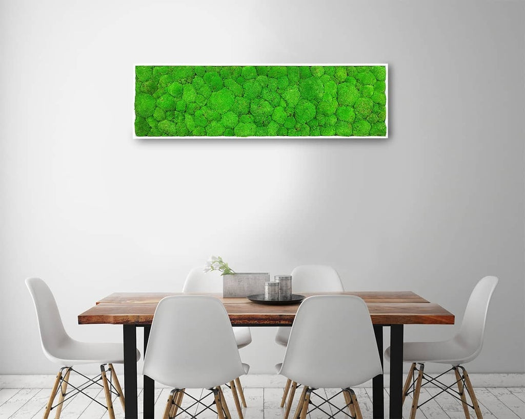 Tableau végétal naturel stabilisé Sphere 40x140