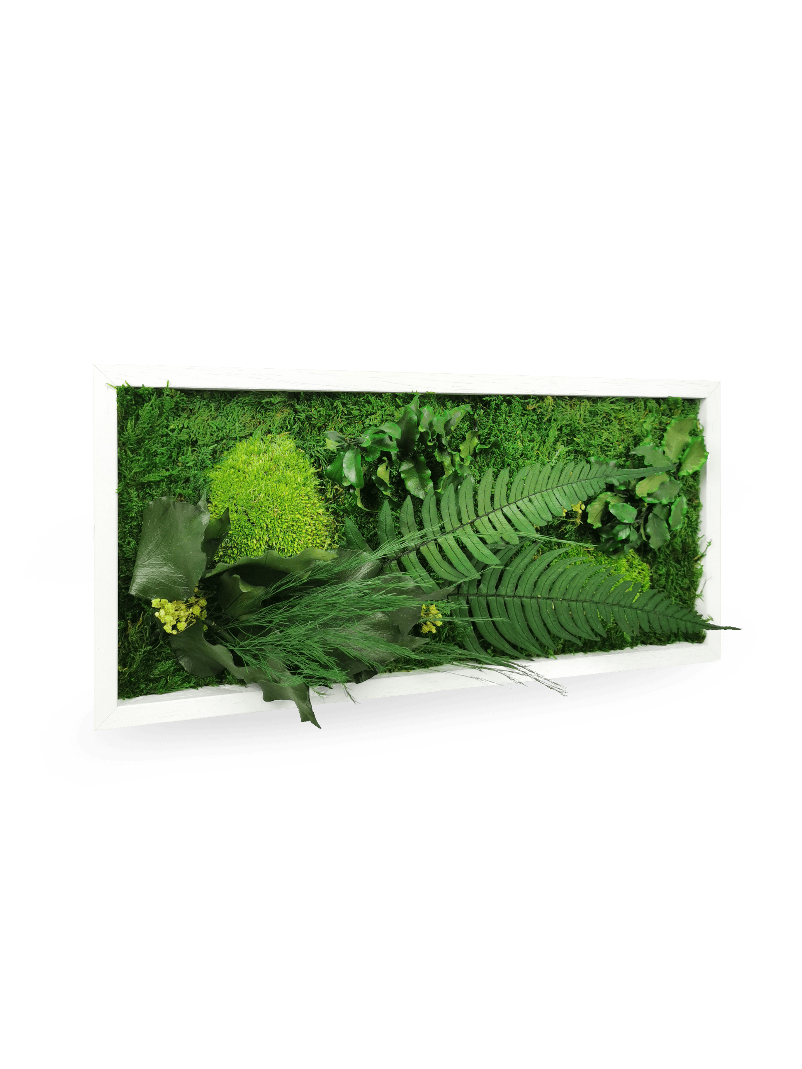 Tableau végétal naturel stabilisé Elegance 18x38