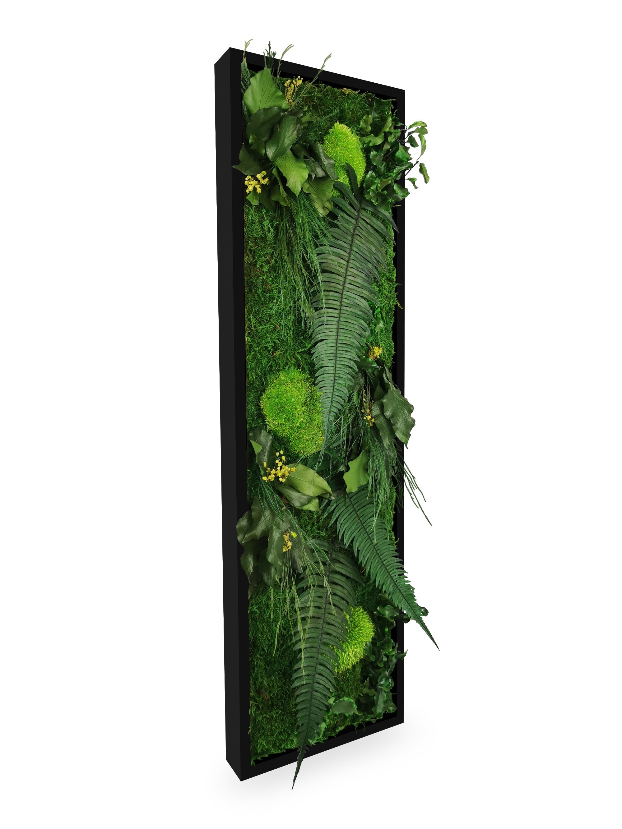 Tableau végétal naturel stabilisé Elegance 20x70
