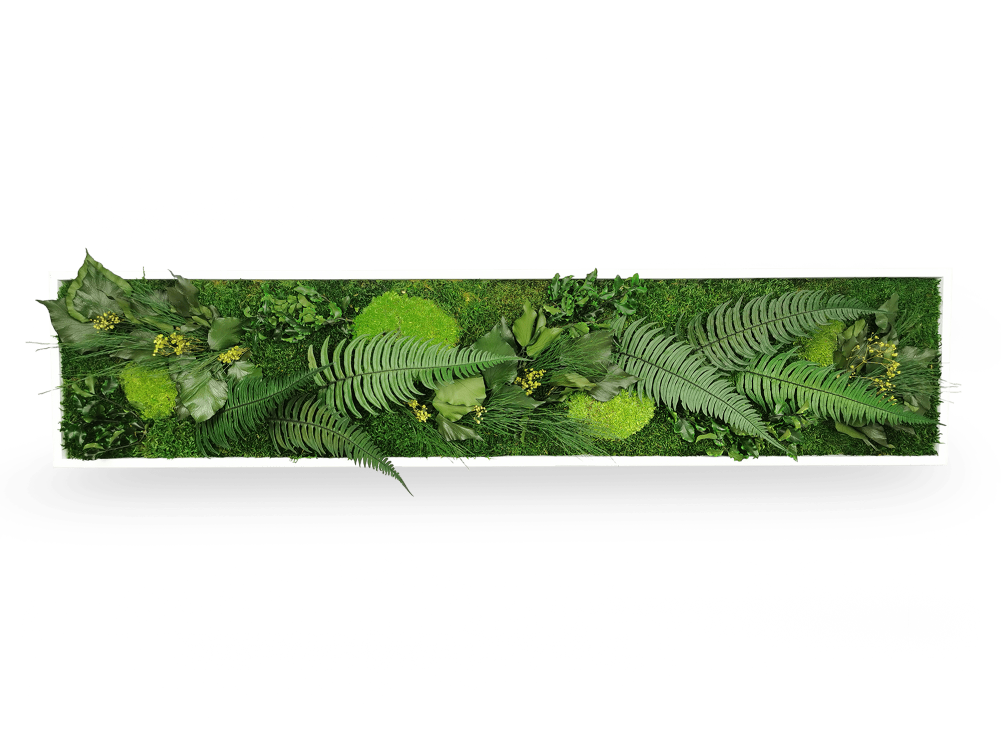Tableau végétal naturel stabilisé Elegance 25x115
