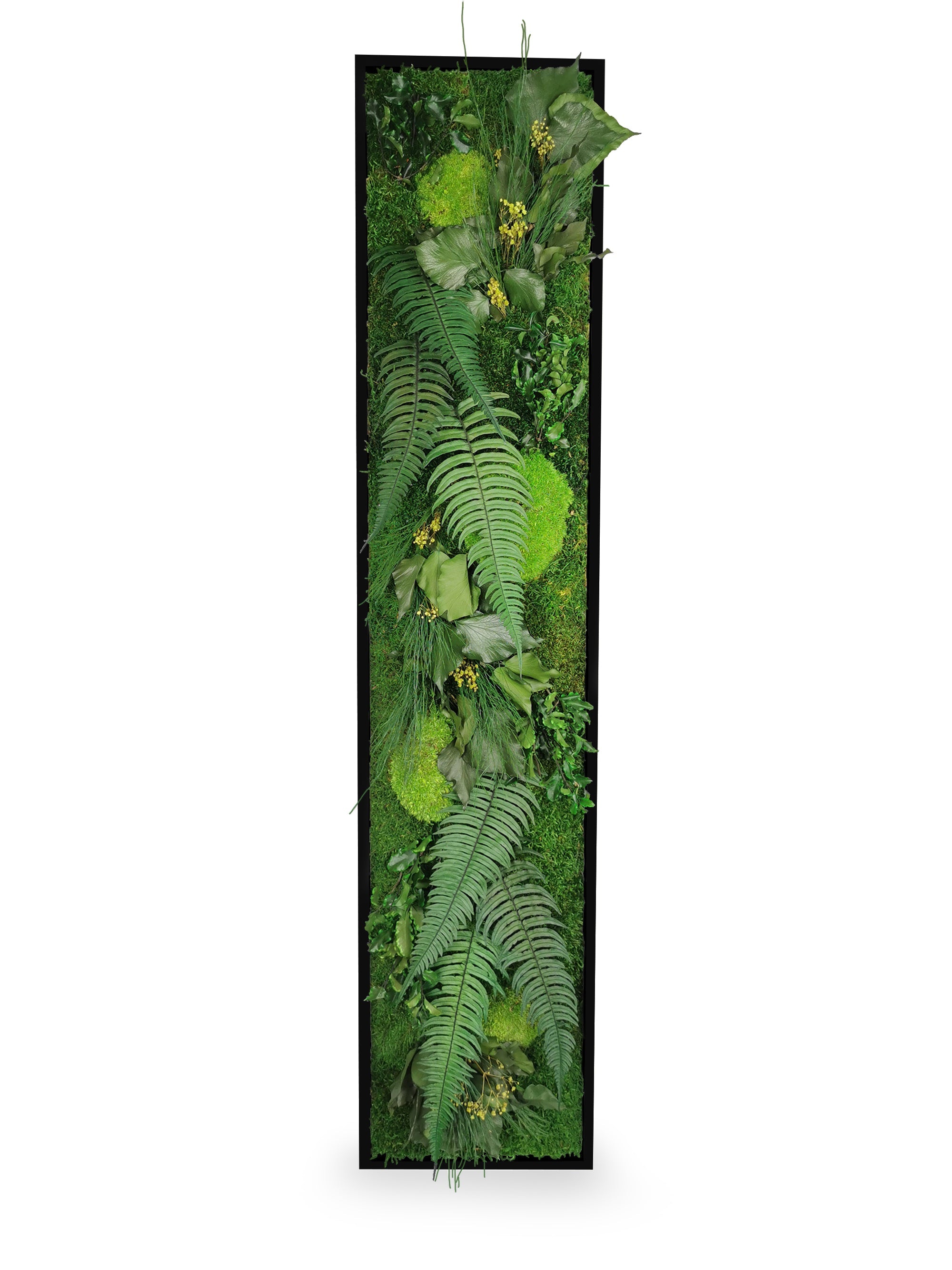 Tableau végétal naturel stabilisé Elegance 25x115