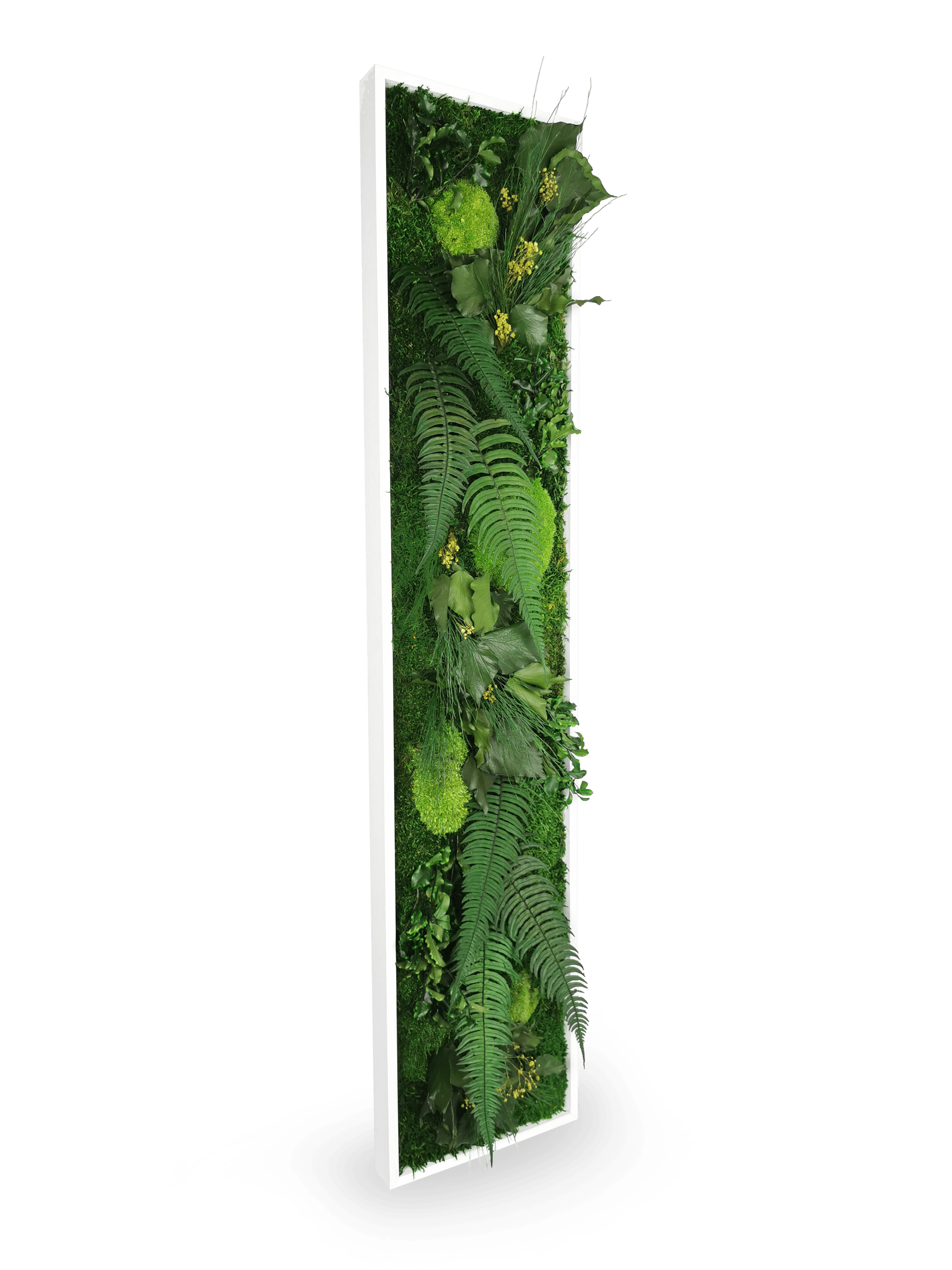 Tableau végétal naturel stabilisé Elegance 25x115