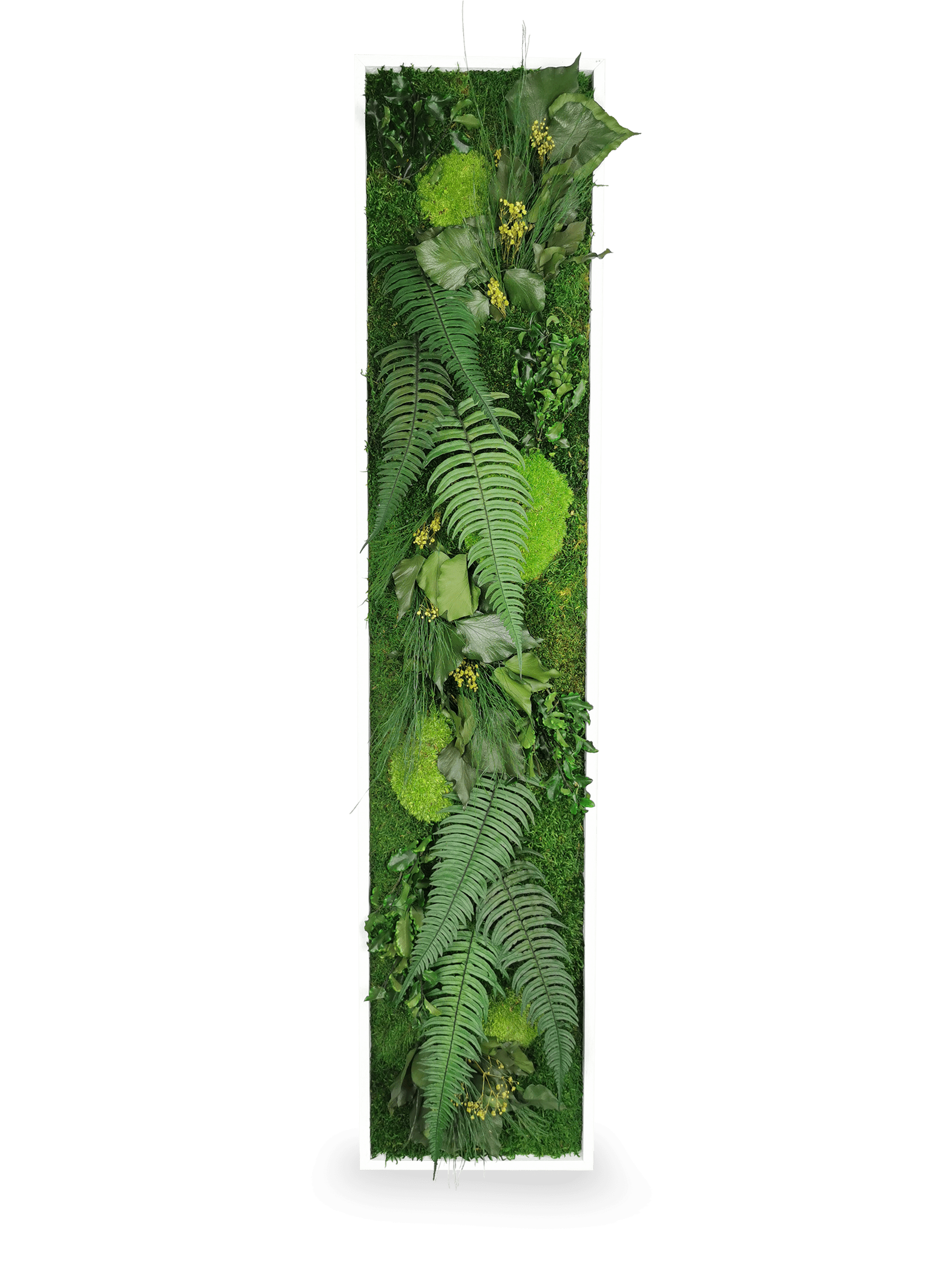 Tableau végétal naturel stabilisé Elegance 25x115