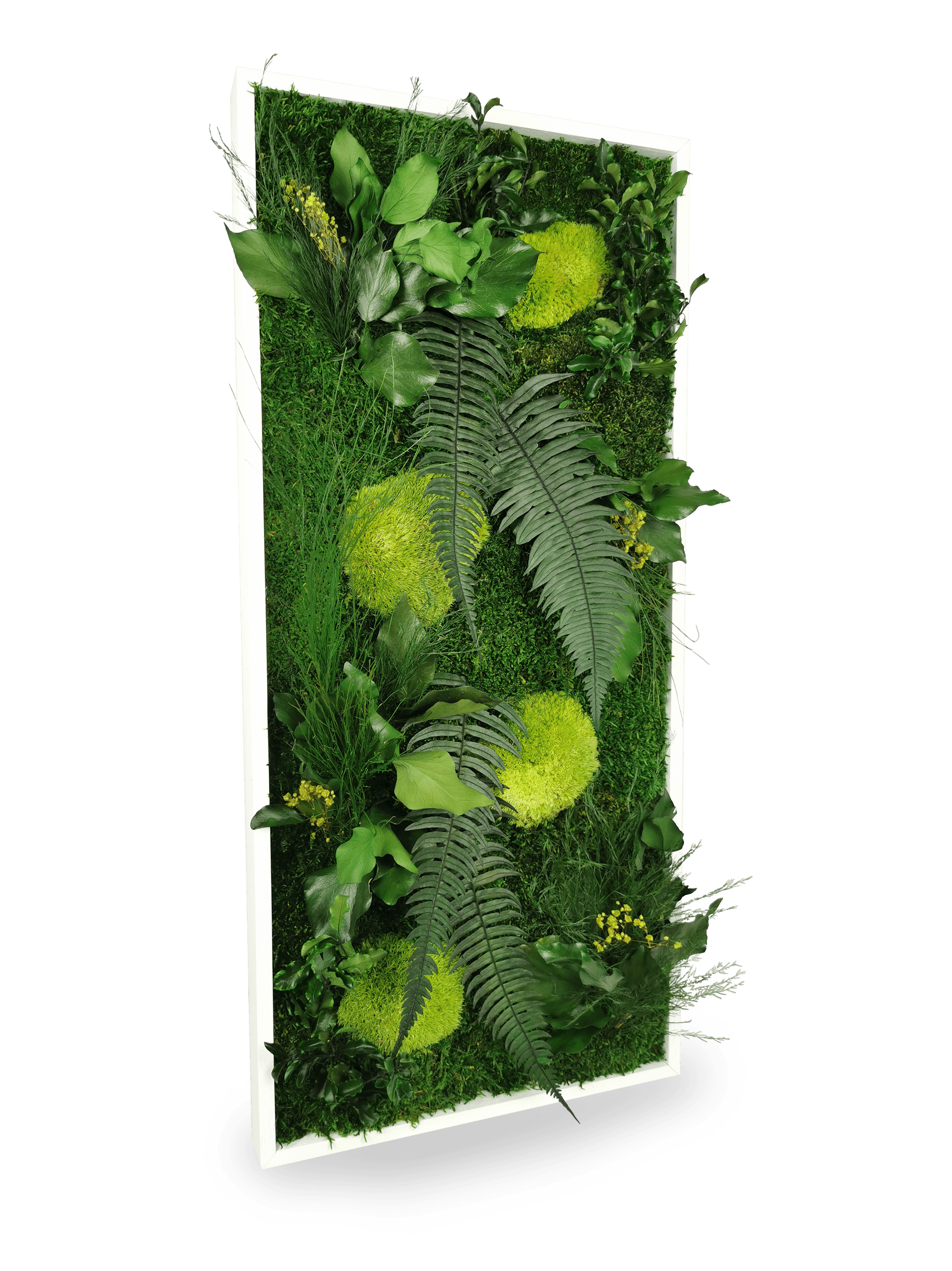 Stabilisiertes Naturpflanzengemälde Elegance 34x74