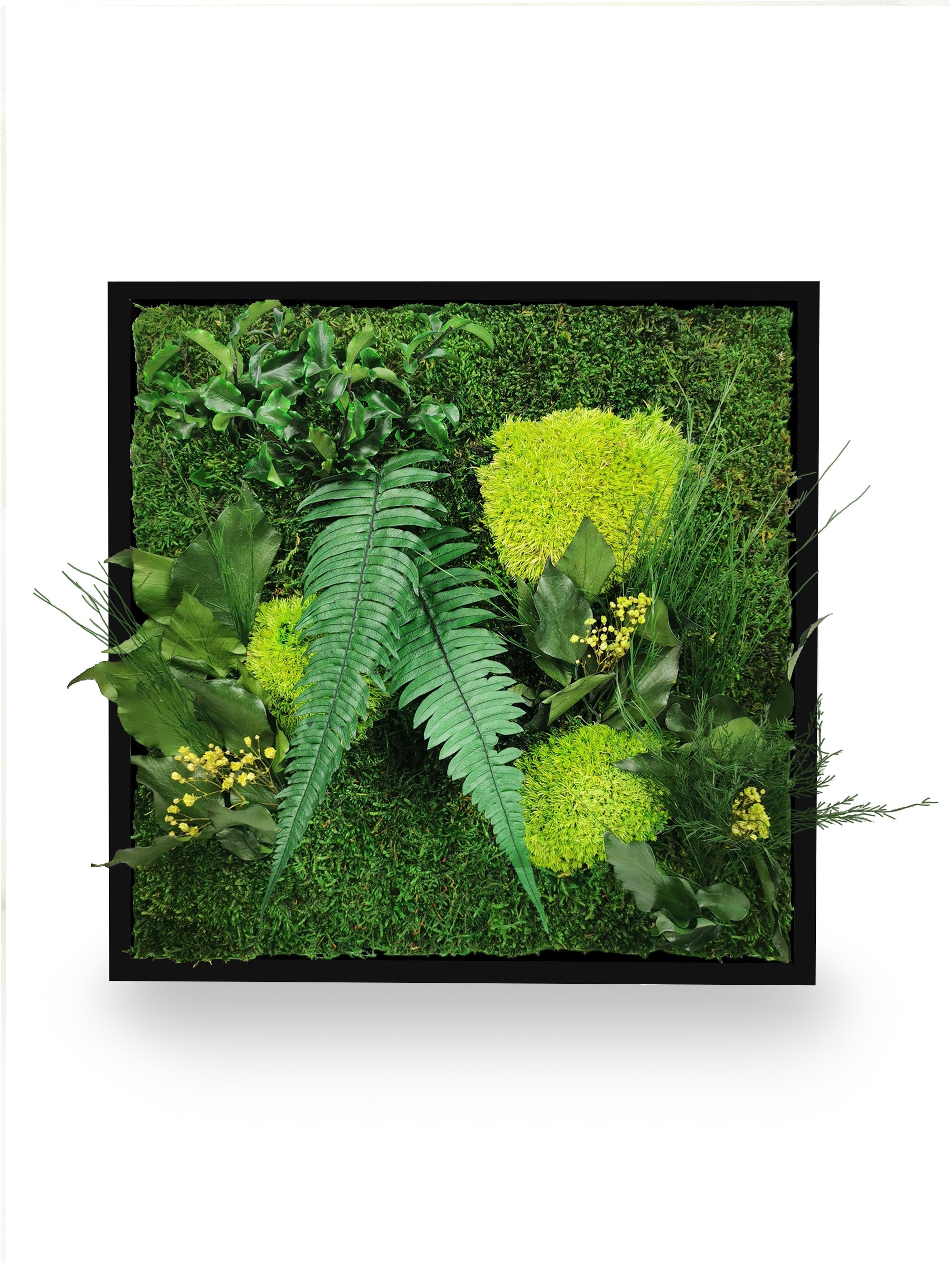 Stabilisiertes Naturpflanzengemälde Elegance 35x35