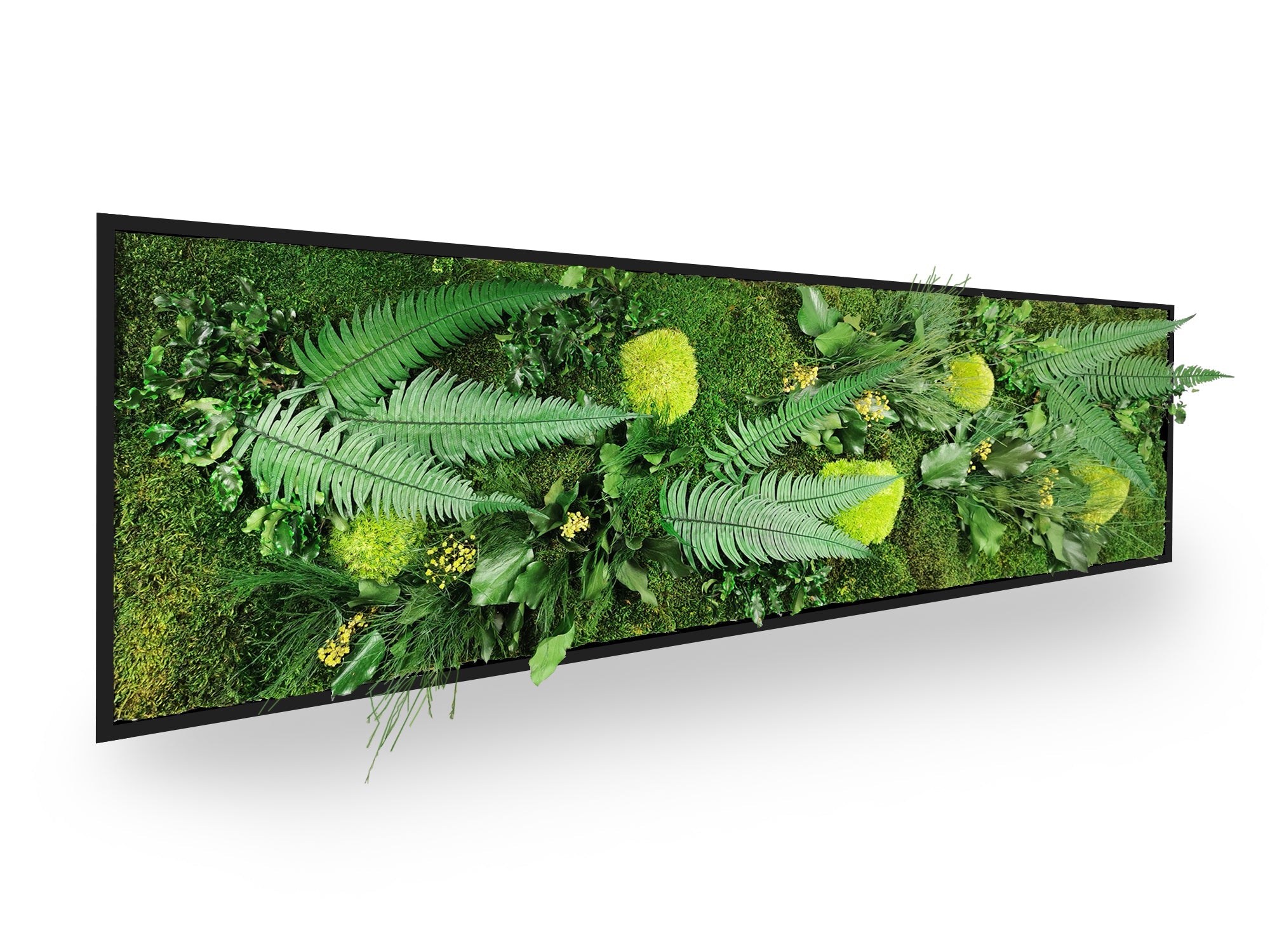 Quadro vegetale naturale stabilizzato Elegance 40x140