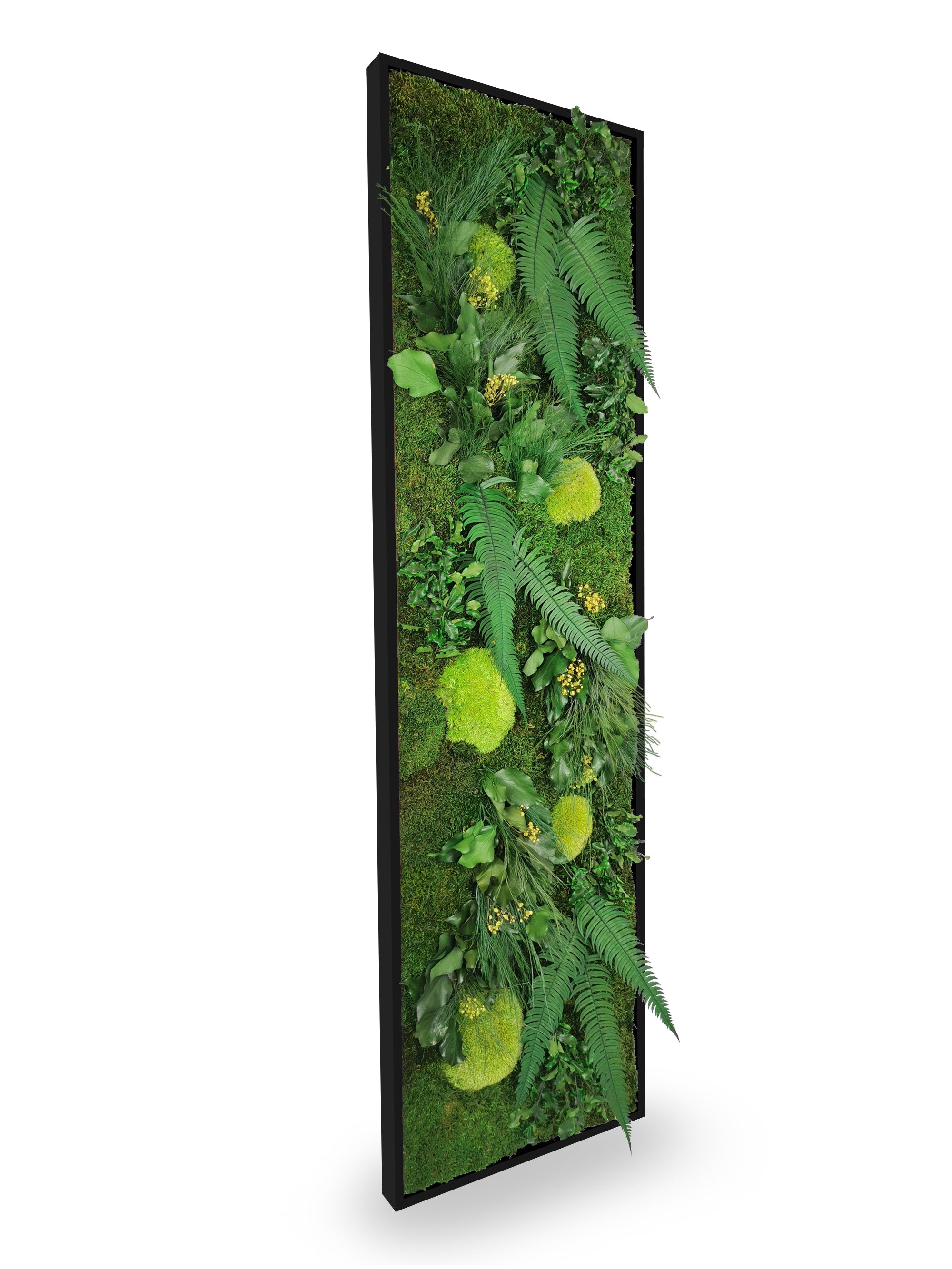 Quadro vegetale naturale stabilizzato Elegance 40x140