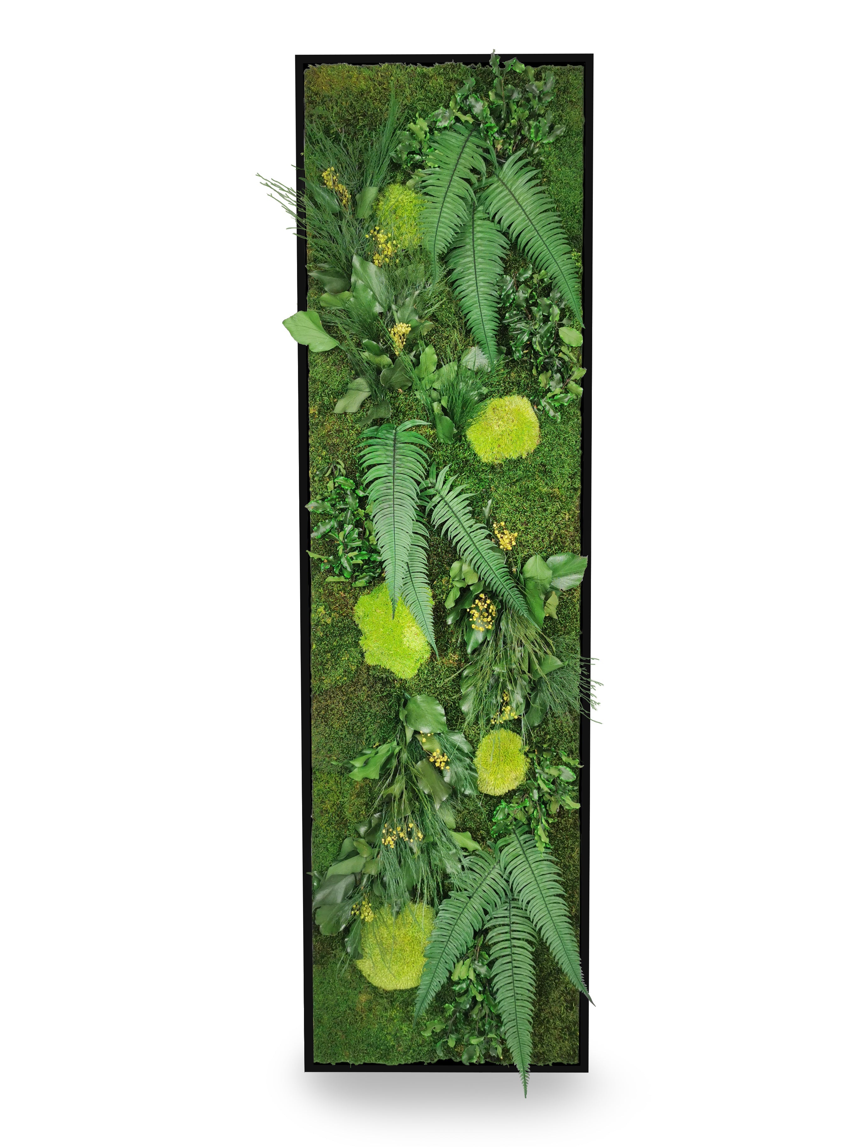 Quadro vegetale naturale stabilizzato Elegance 40x140