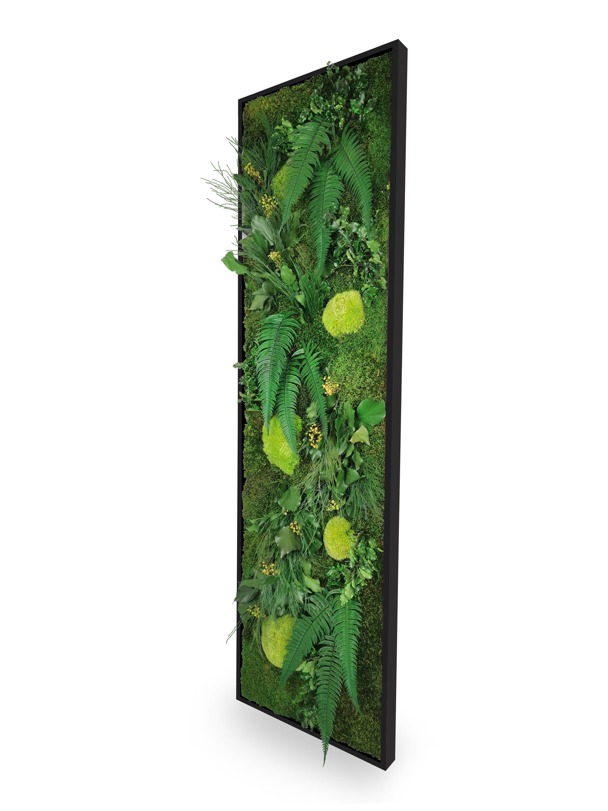 Quadro vegetale naturale stabilizzato Elegance 40x140