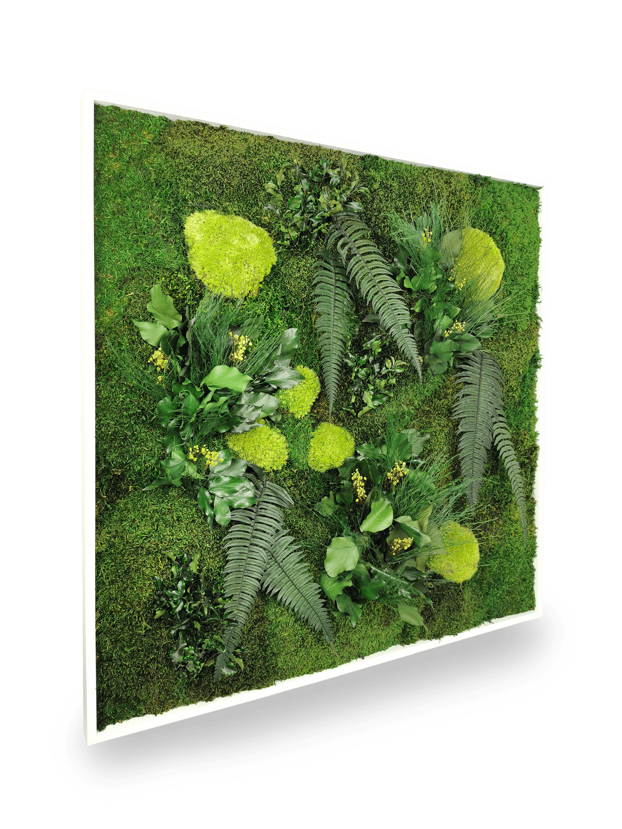 Stabilisiertes Naturpflanzengemälde Elegance 80x80