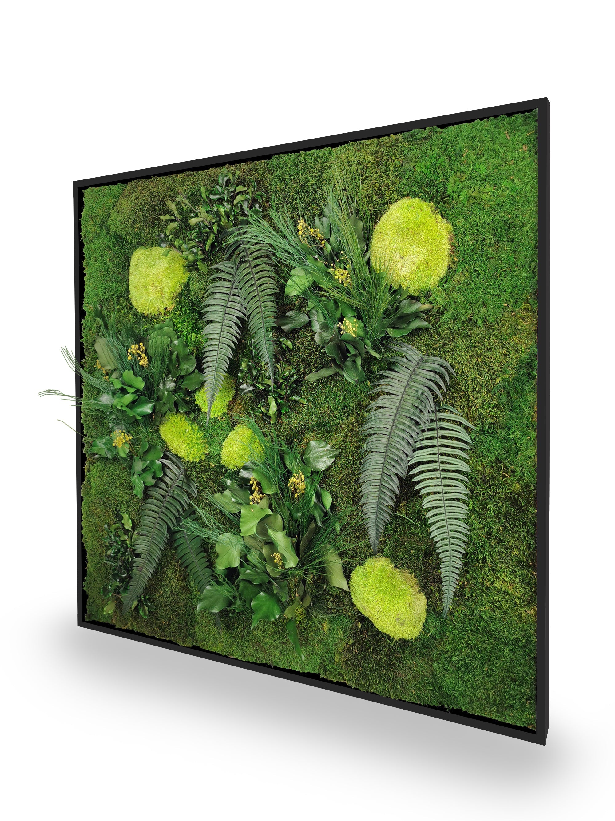 Quadro vegetale naturale stabilizzato Elegance 80x80