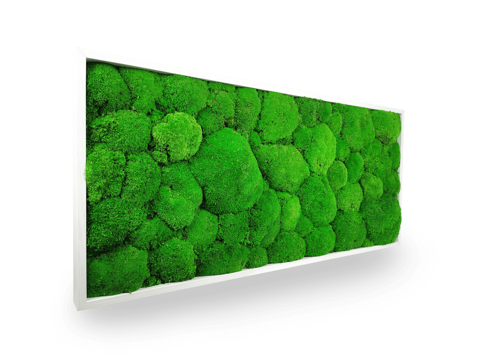 Tableau végétal naturel stabilisé Sphere 34x74