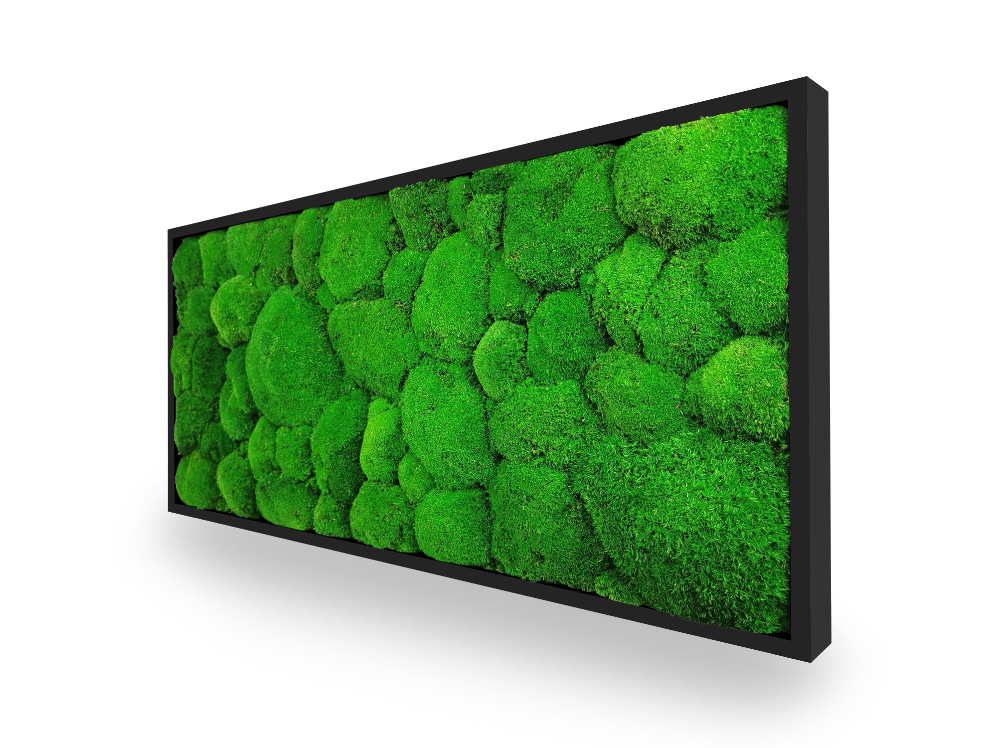 Tableau végétal naturel stabilisé Sphere 34x74