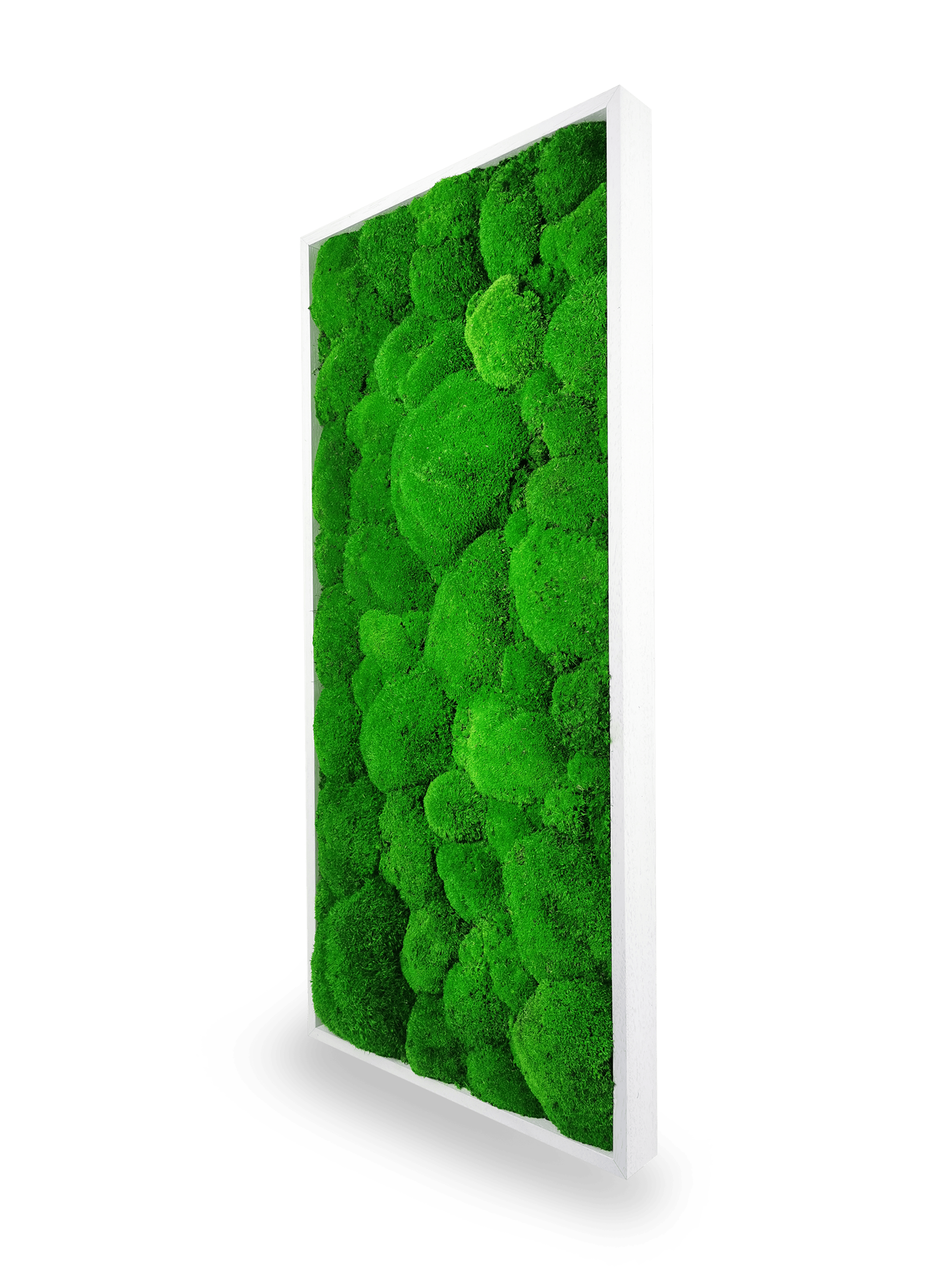 Tableau végétal naturel stabilisé Sphere 34x74