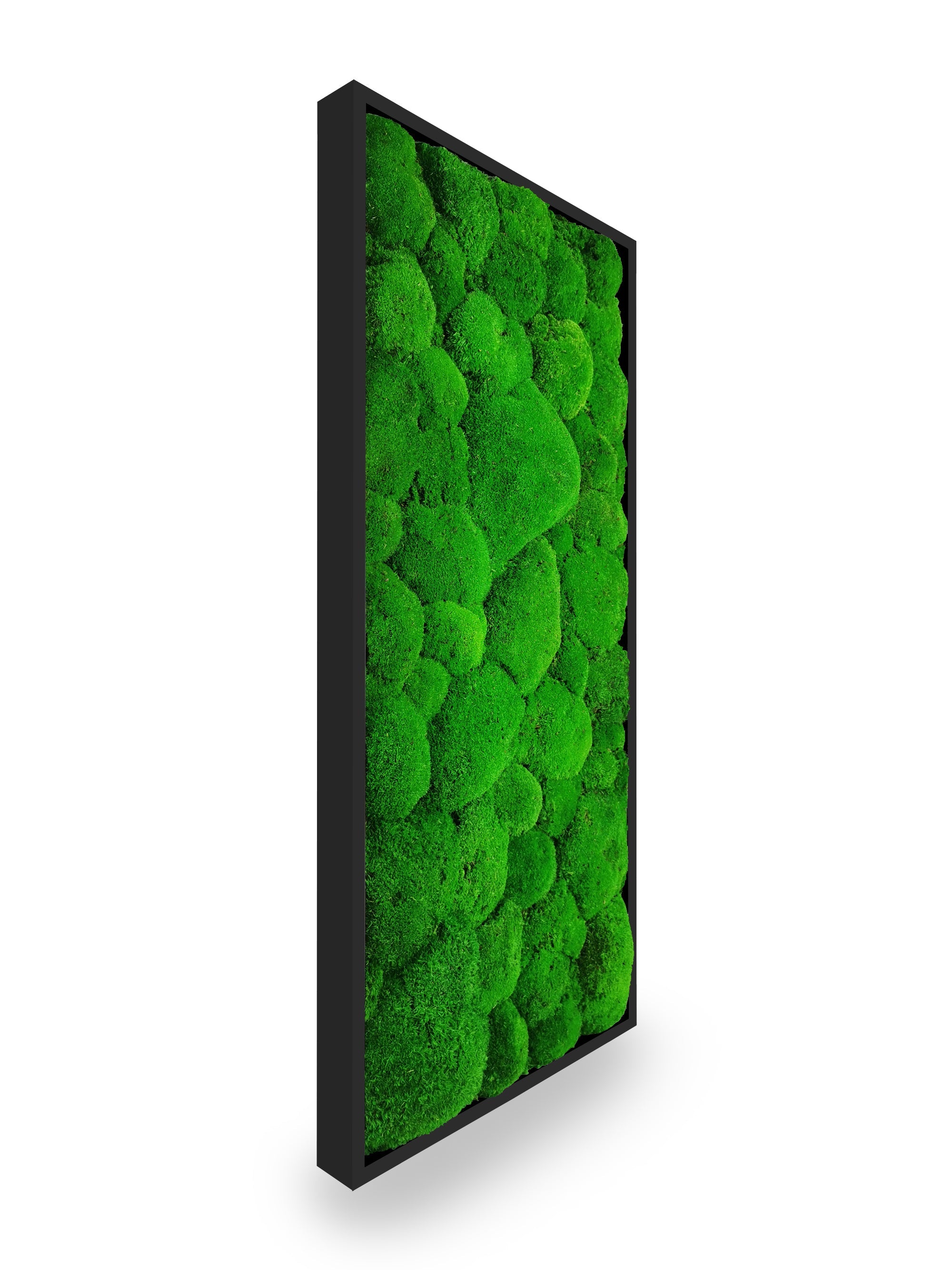 Tableau végétal naturel stabilisé Sphere 34x74