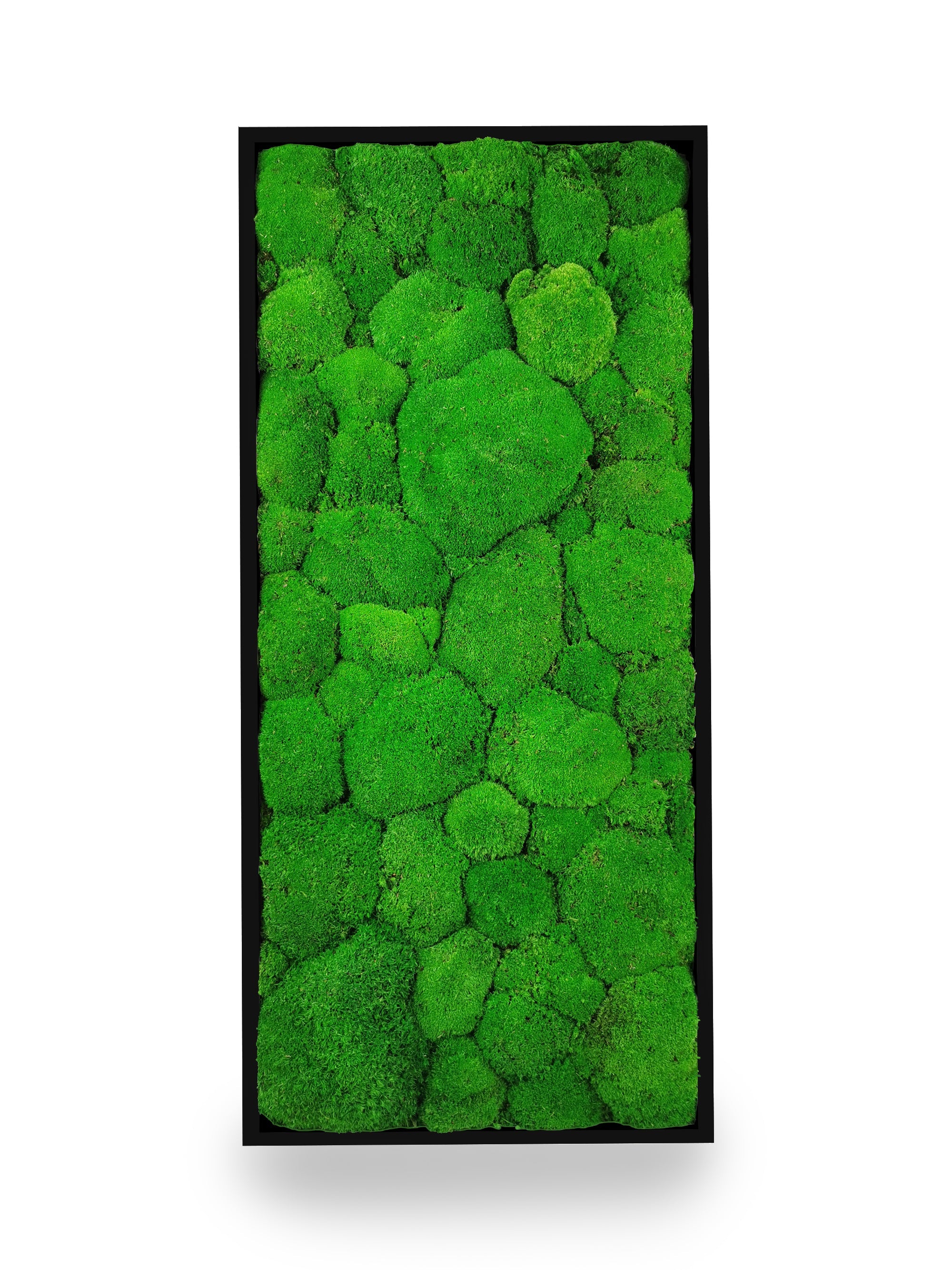 Tableau végétal naturel stabilisé Sphere 34x74