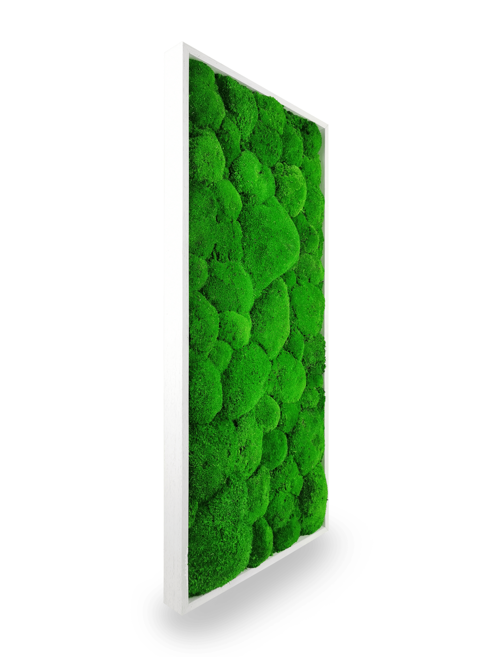 Tableau végétal naturel stabilisé Sphere 34x74