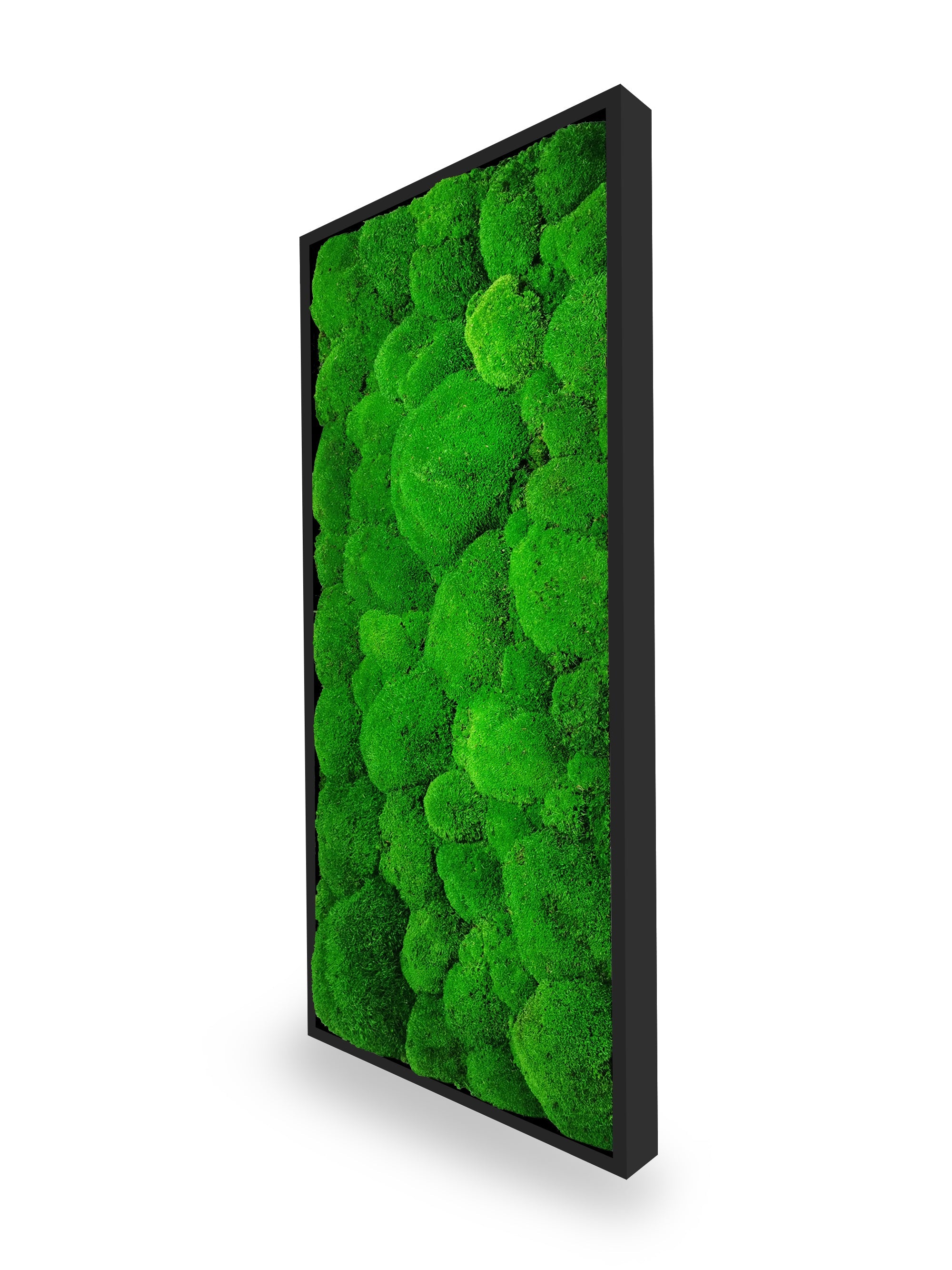 Tableau végétal naturel stabilisé Sphere 34x74