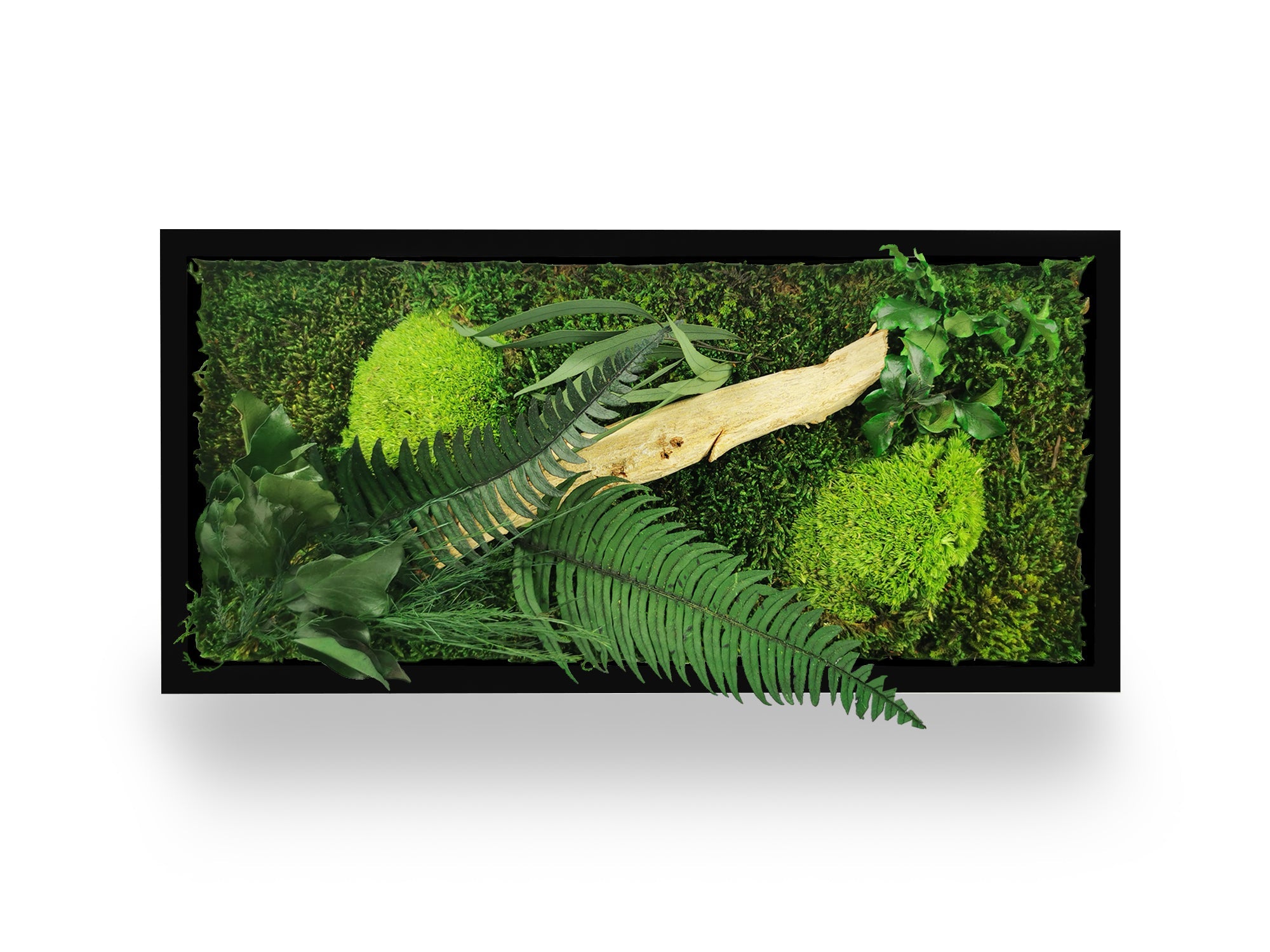 Tableau végétal naturel stabilisé Wood 18x38