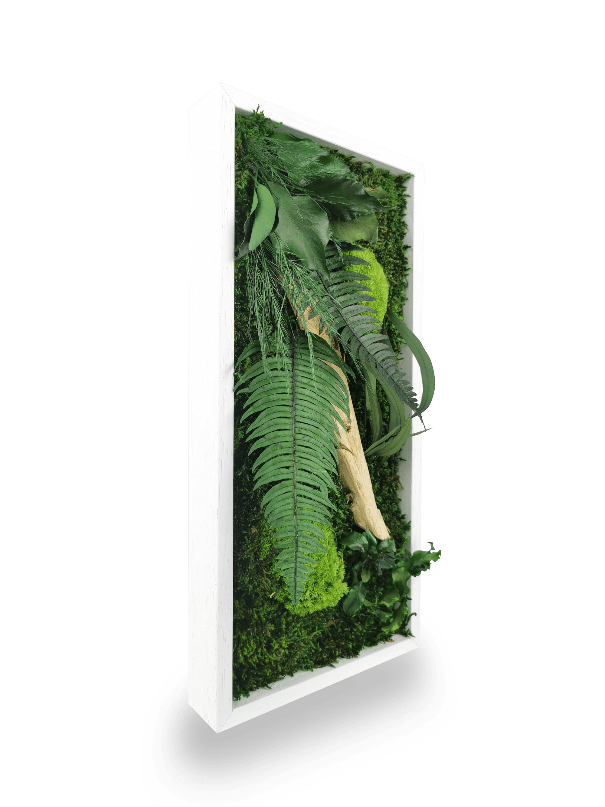 Tableau végétal naturel stabilisé Wood 18x38