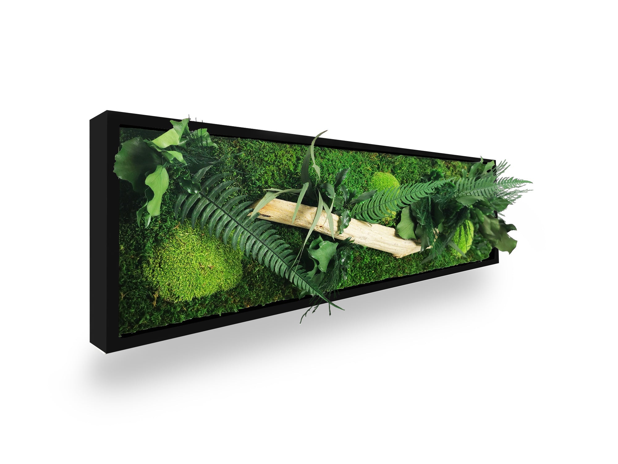 Tableau végétal naturel stabilisé Wood 20x70