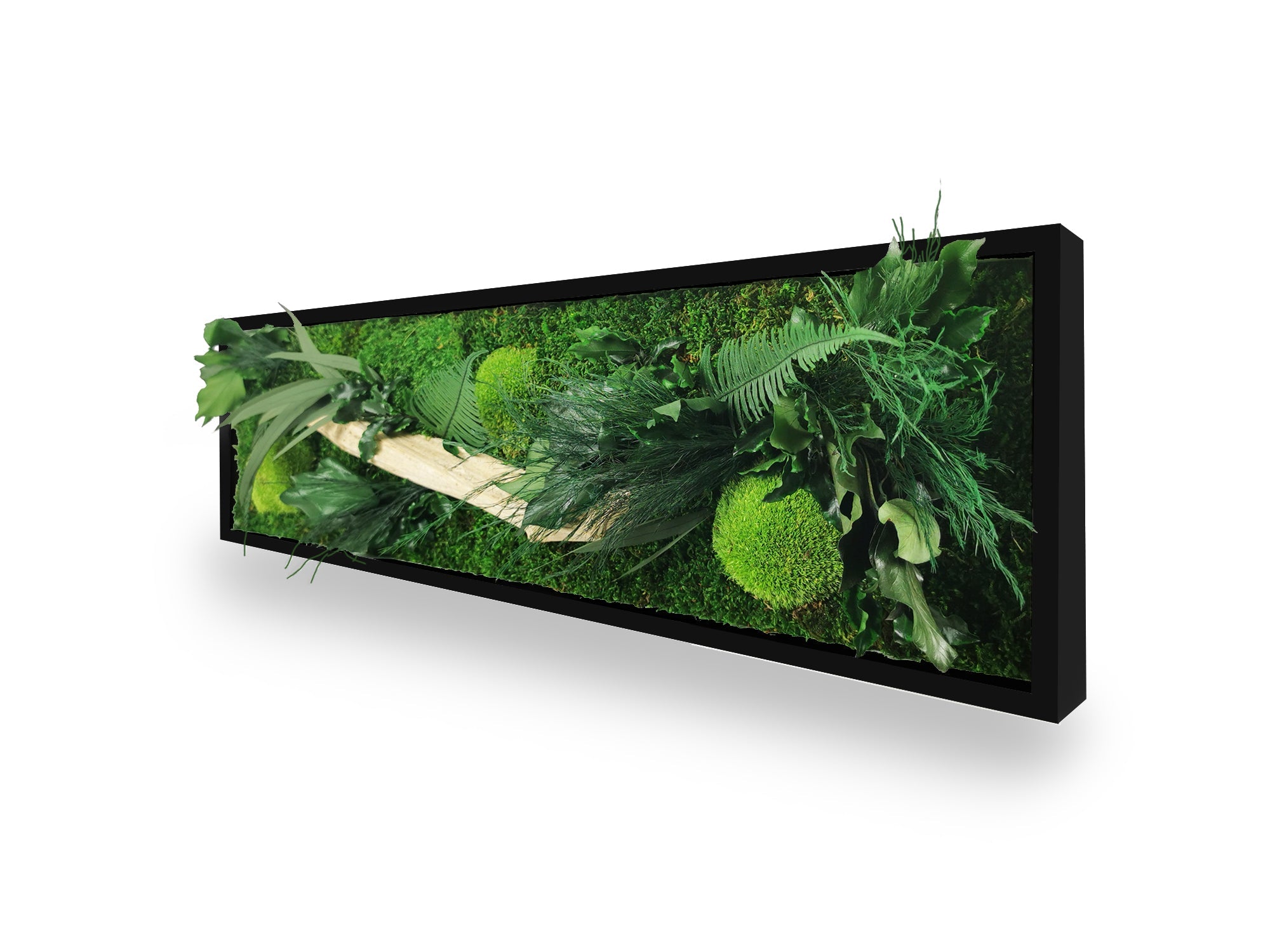 Tableau végétal naturel stabilisé Wood 20x70