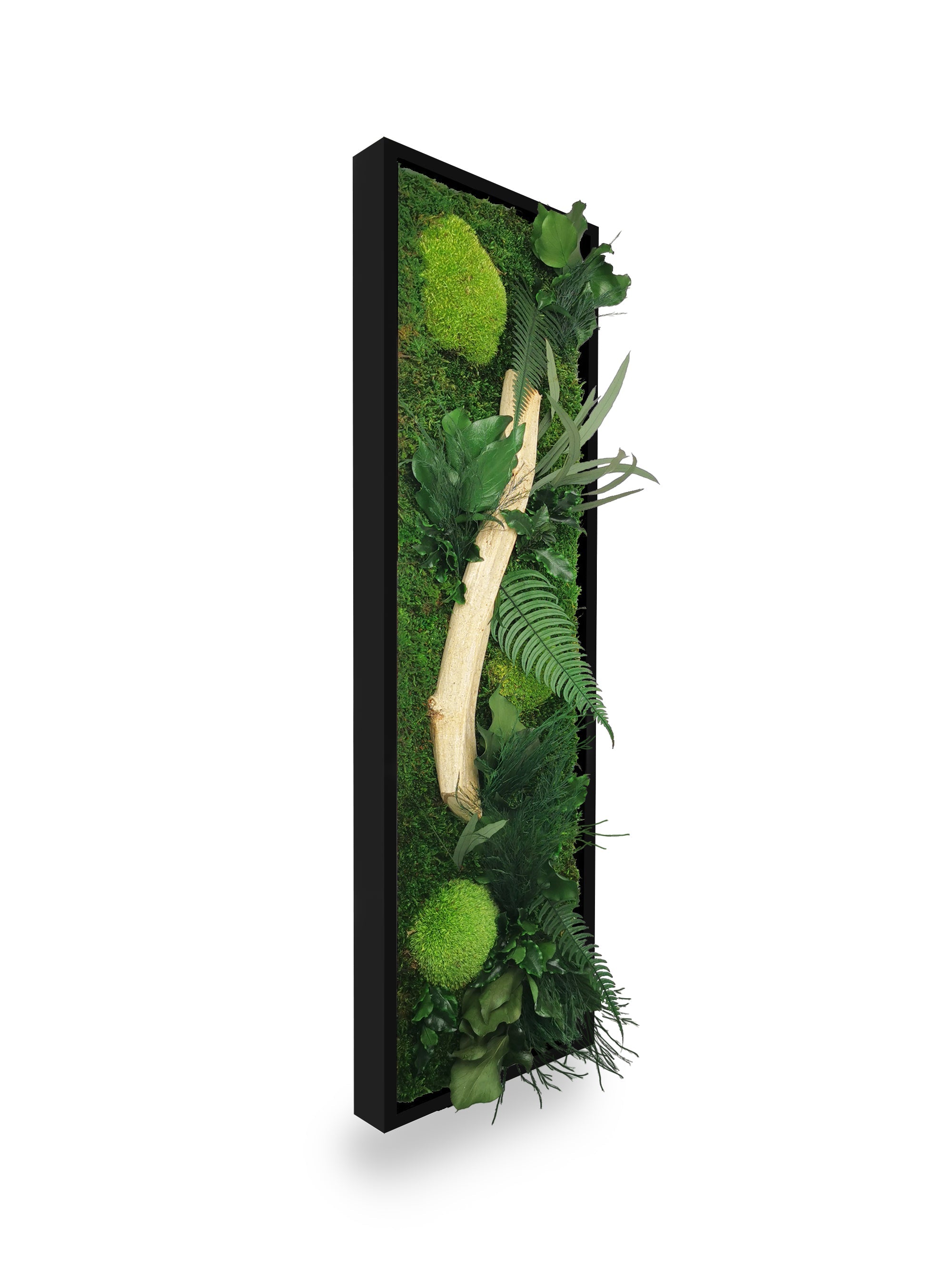 Tableau végétal naturel stabilisé Wood 20x70