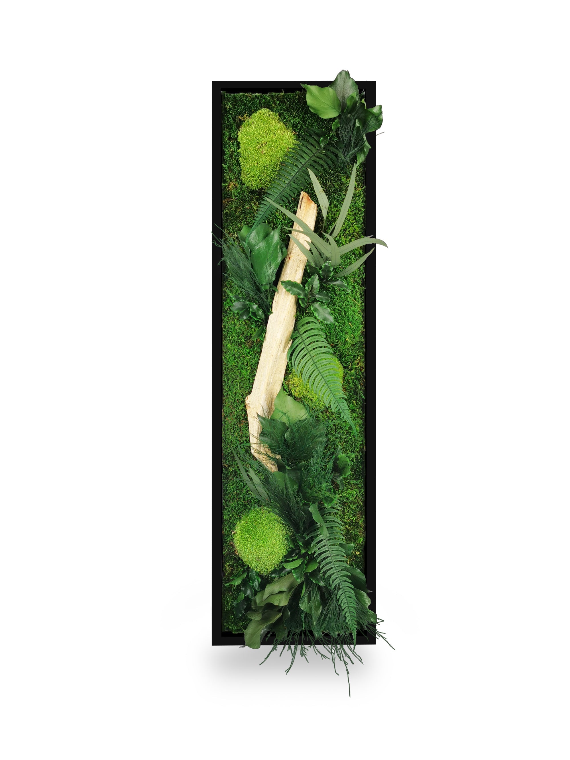 Tableau végétal naturel stabilisé Wood 20x70