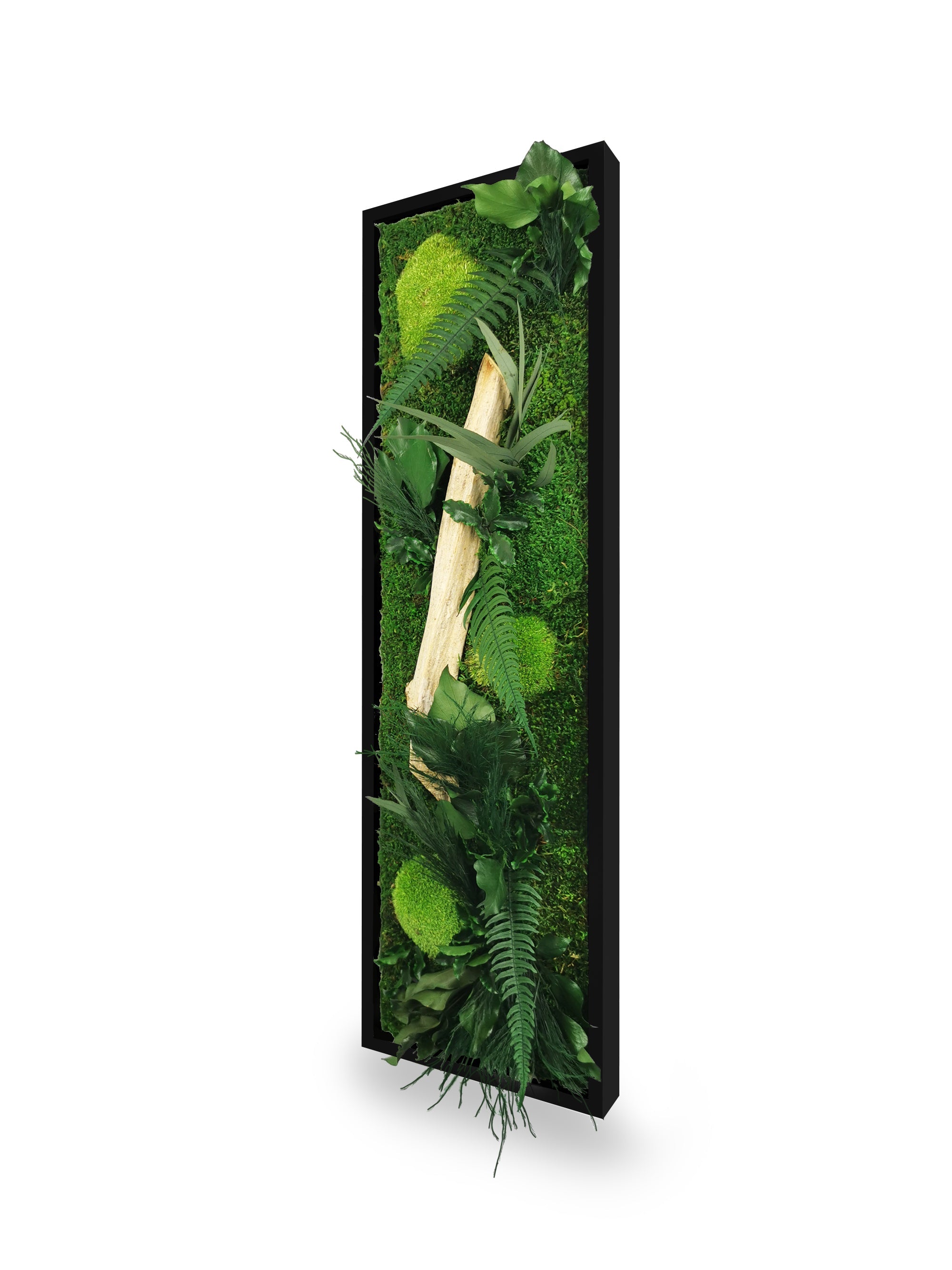 Tableau végétal naturel stabilisé Wood 20x70