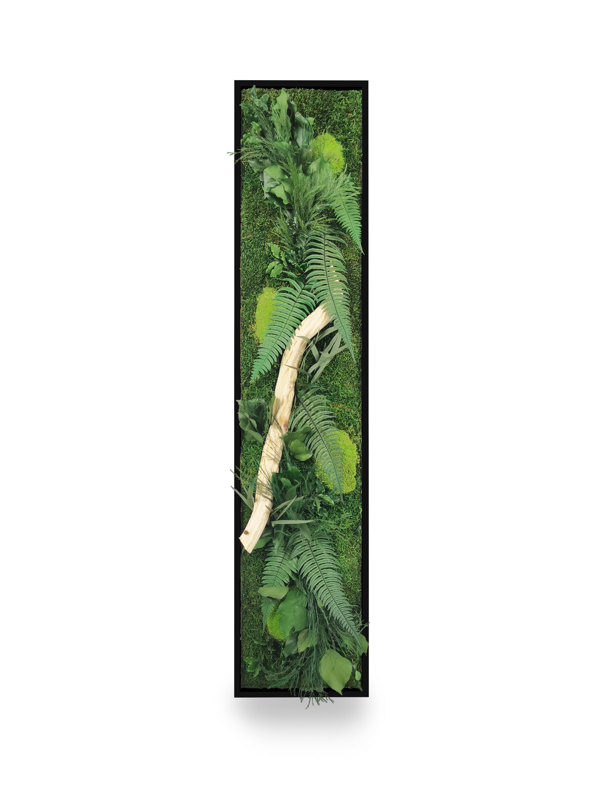 Tableau végétal naturel stabilisé Wood 25x115
