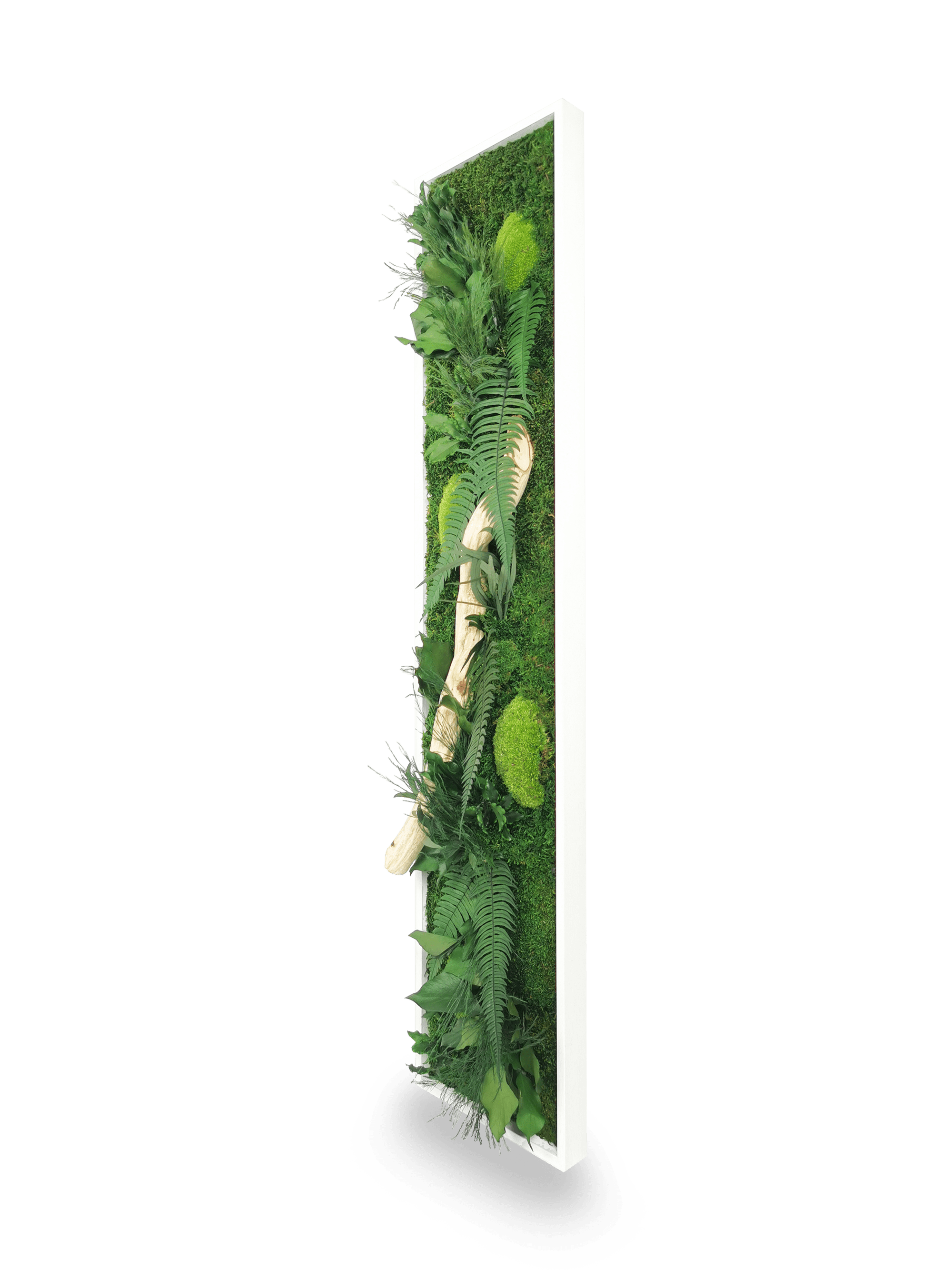 Tableau végétal naturel stabilisé Wood 25x115