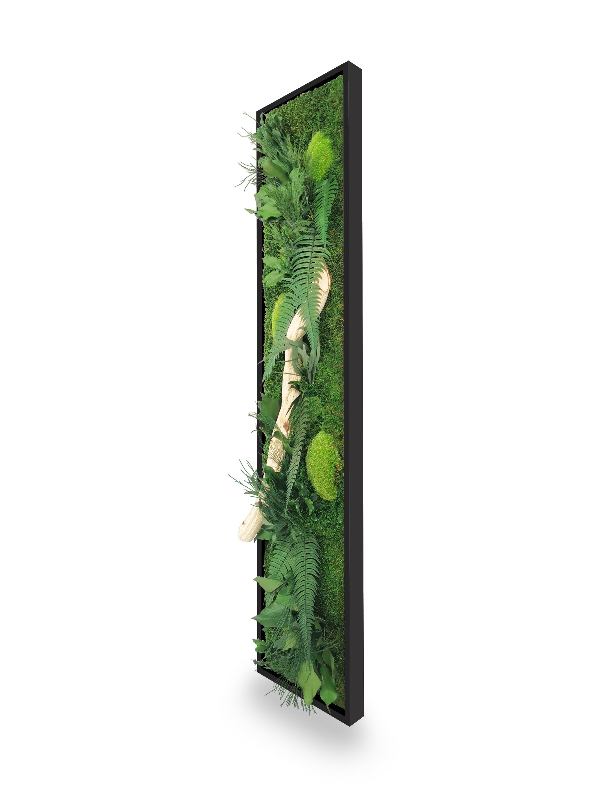 Tableau végétal naturel stabilisé Wood 25x115