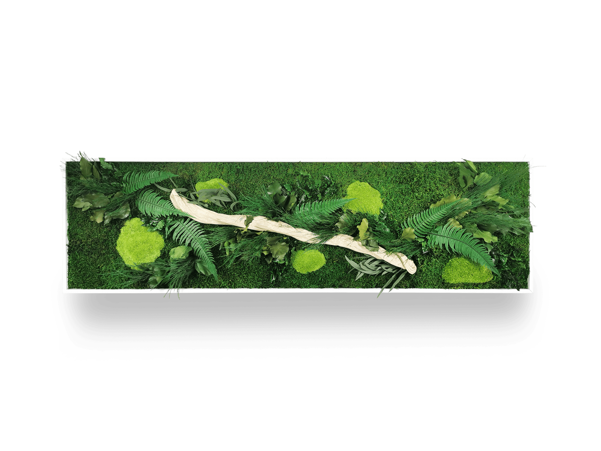 Tavolo in pianta naturale stabilizzata Legno 40x140